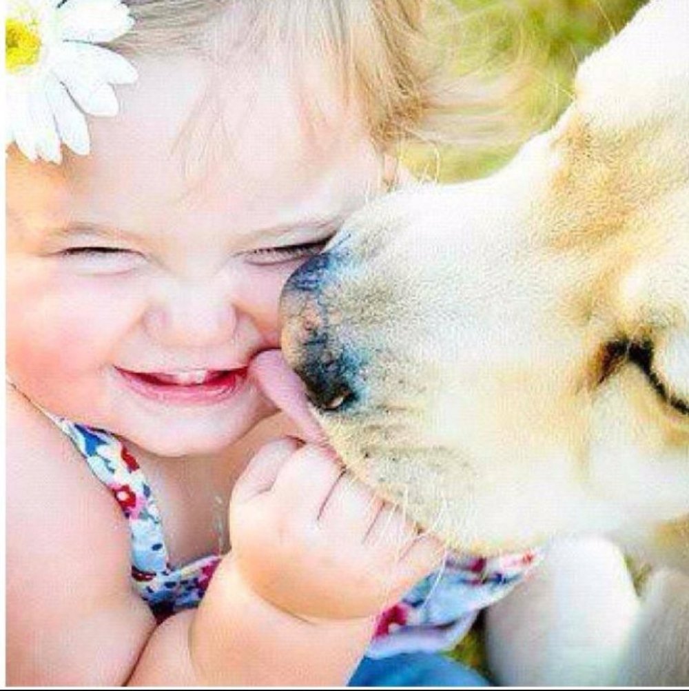Ребенок делает улыбку собаке