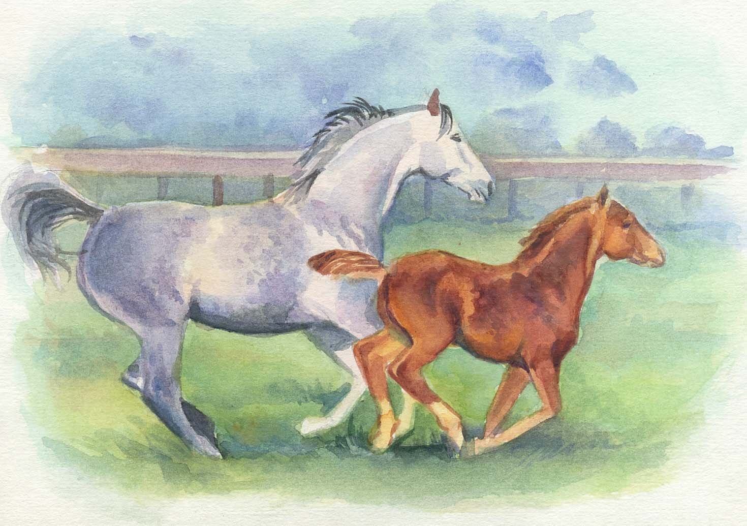 Лошадь с жеребенком карандашом
