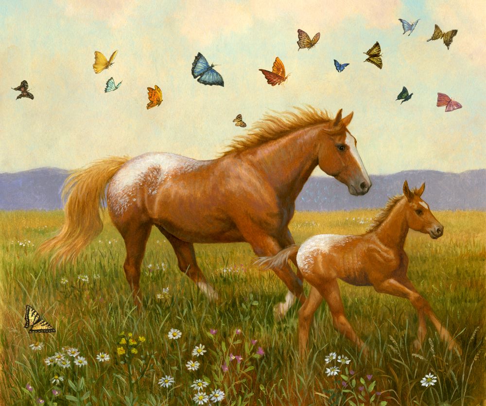 Картина по номерам лошадь с жеребенком