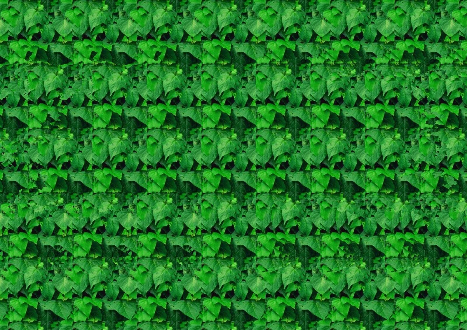 Стереокартинки зеленые