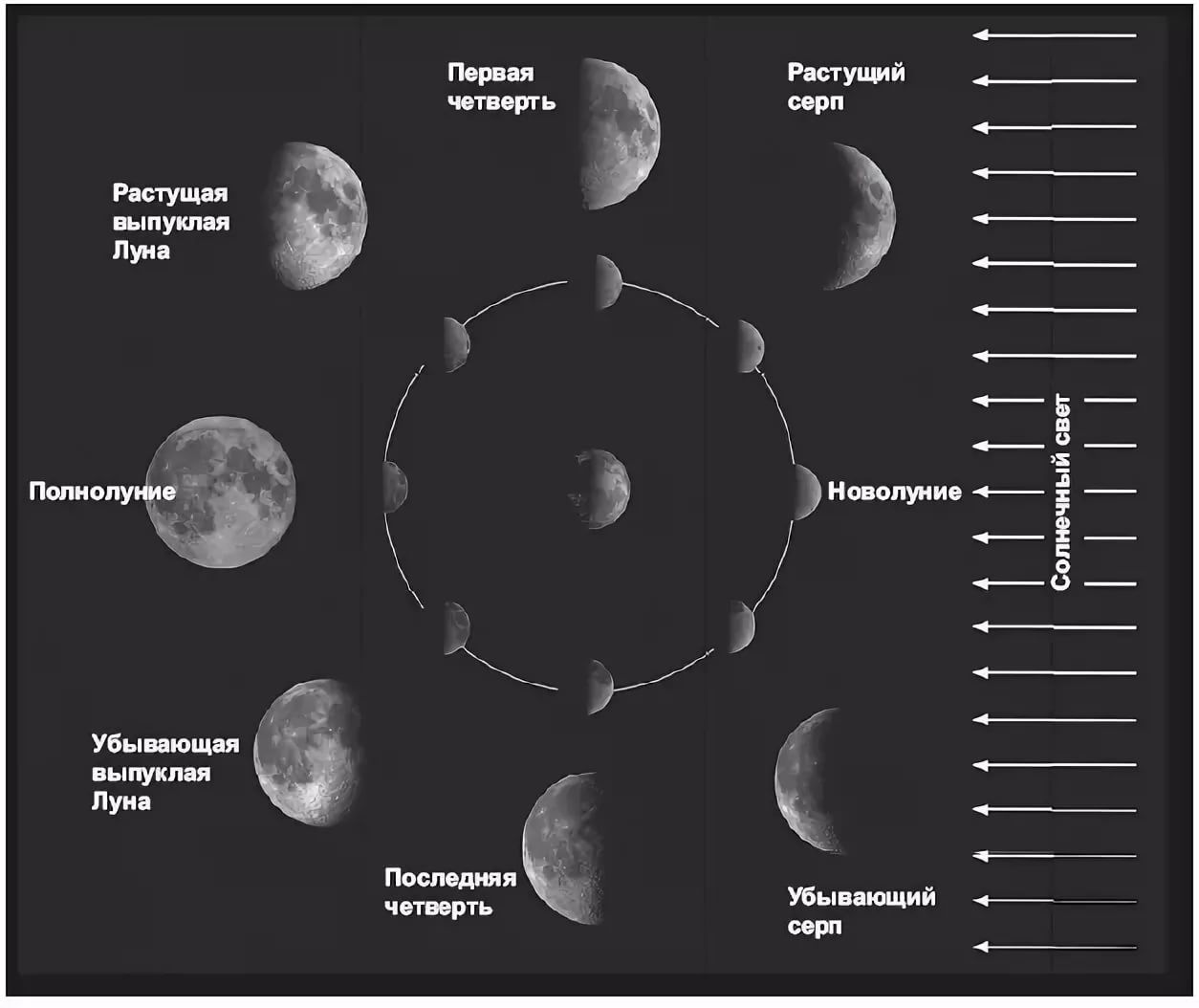 Наблюдение фаз Луны