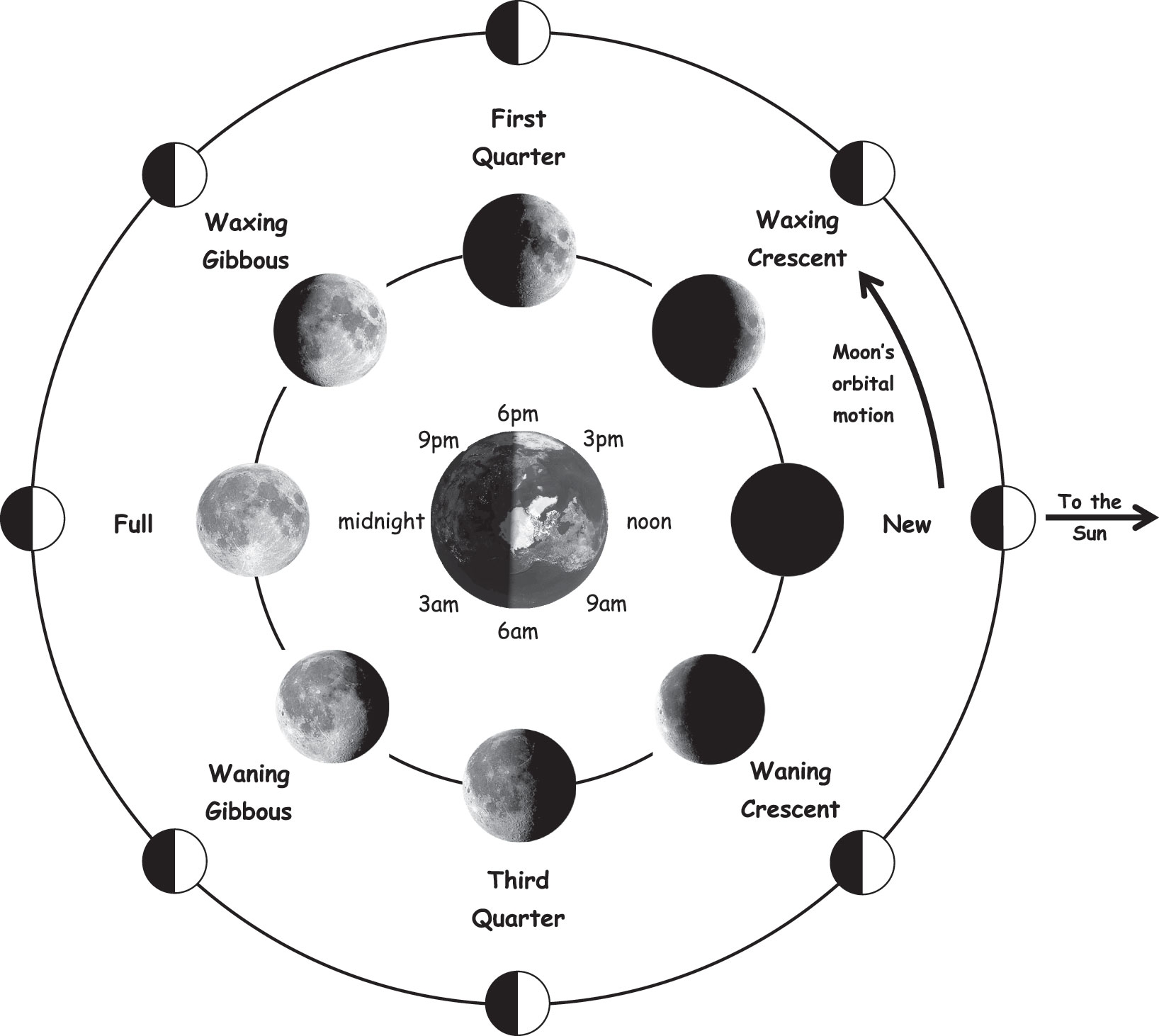Схема лунных фаз и их названия