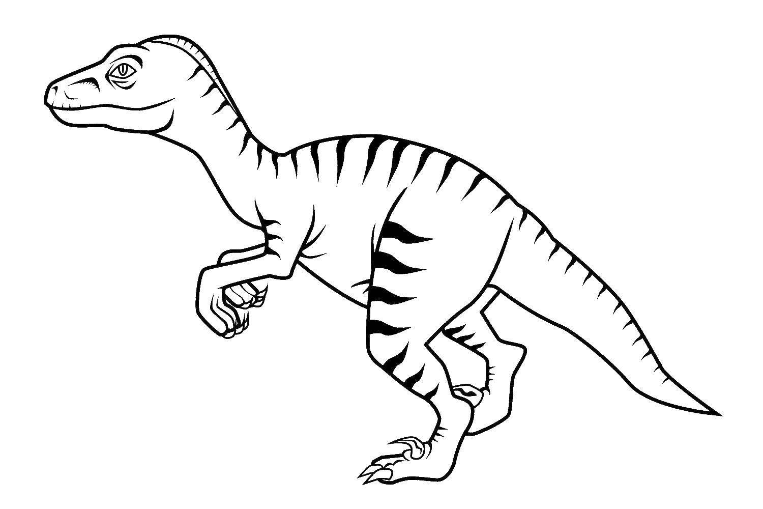 Рисунки динозавров для раскраски