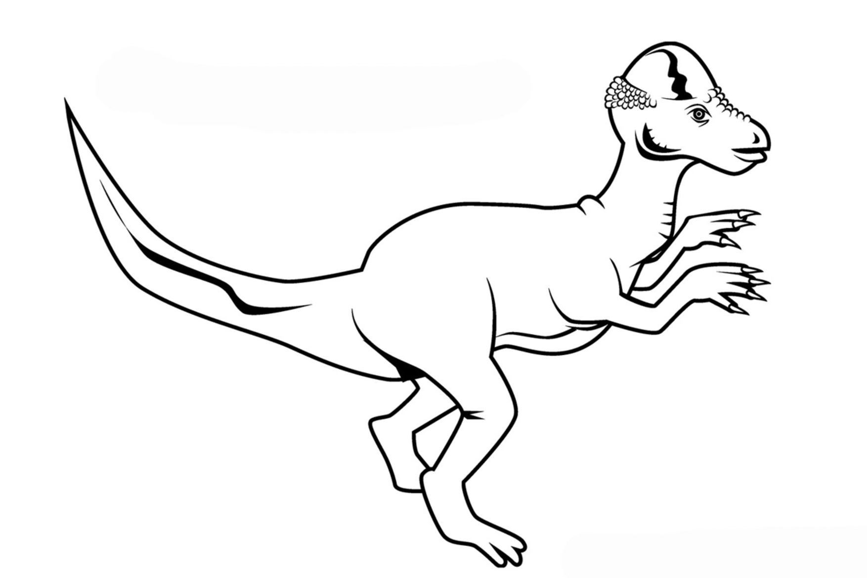 Динозавр Пахицефалозавр раскраска для детей