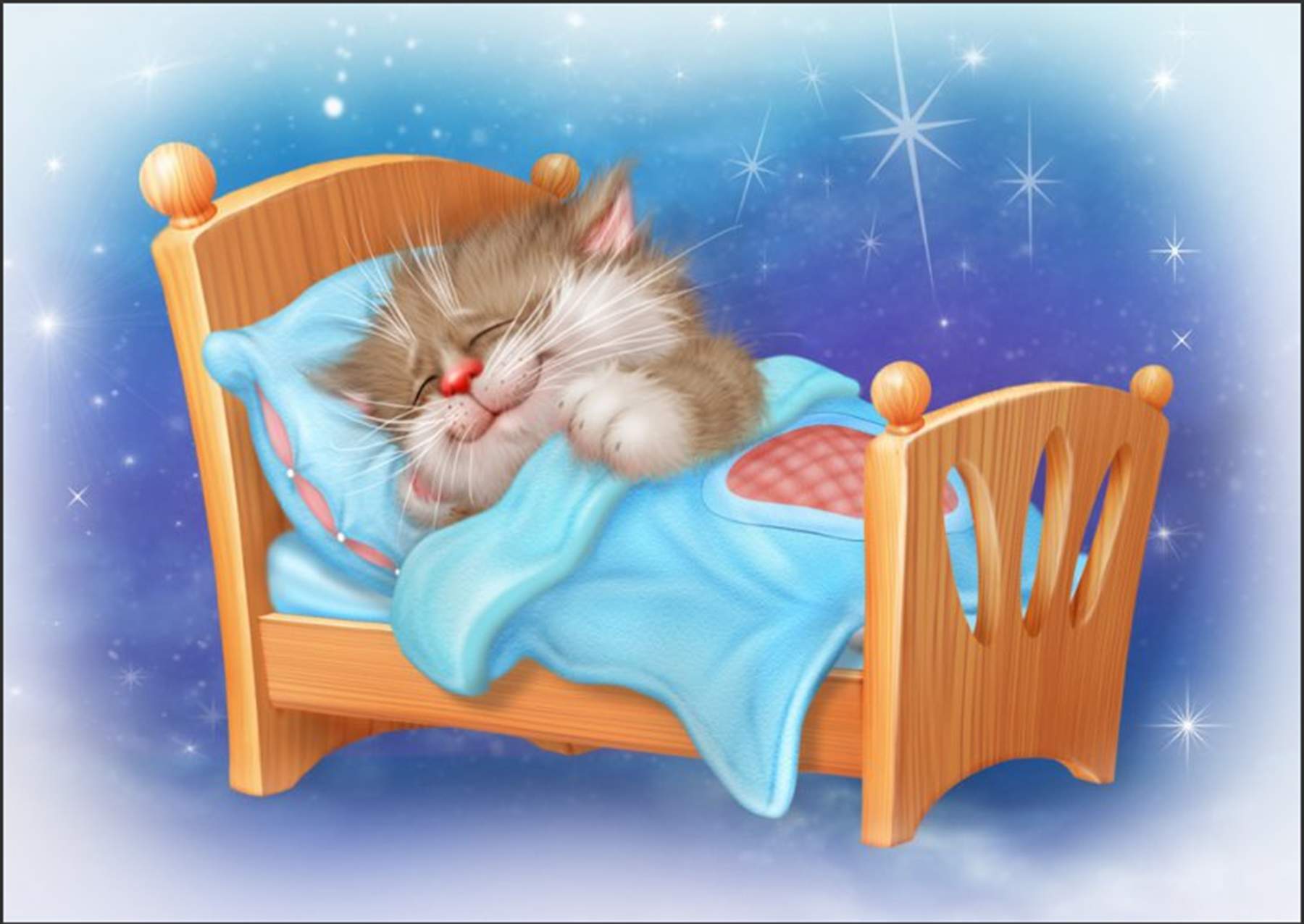 Спокойной ночи спящий кот