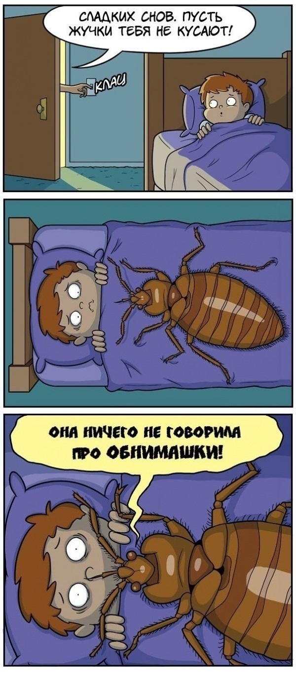 Анекдоты про насекомых