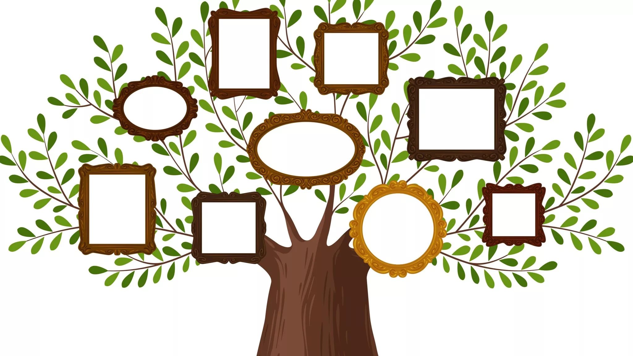 Рамка для генеалогического дерева