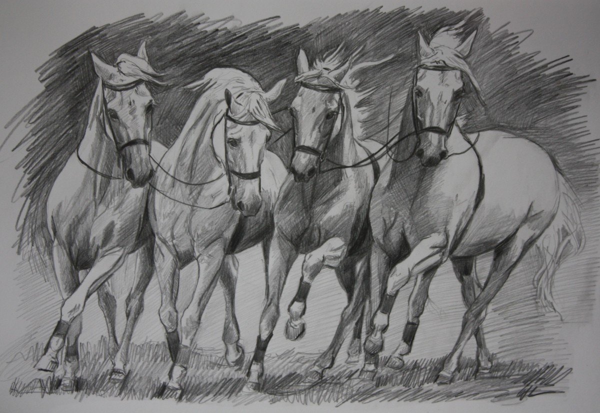 Табун лошадей карандашом