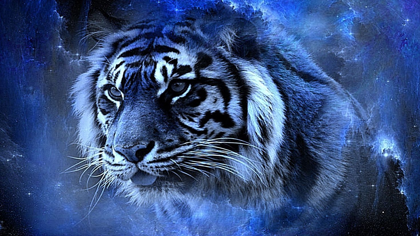 2022 Год голубой водяной тигр