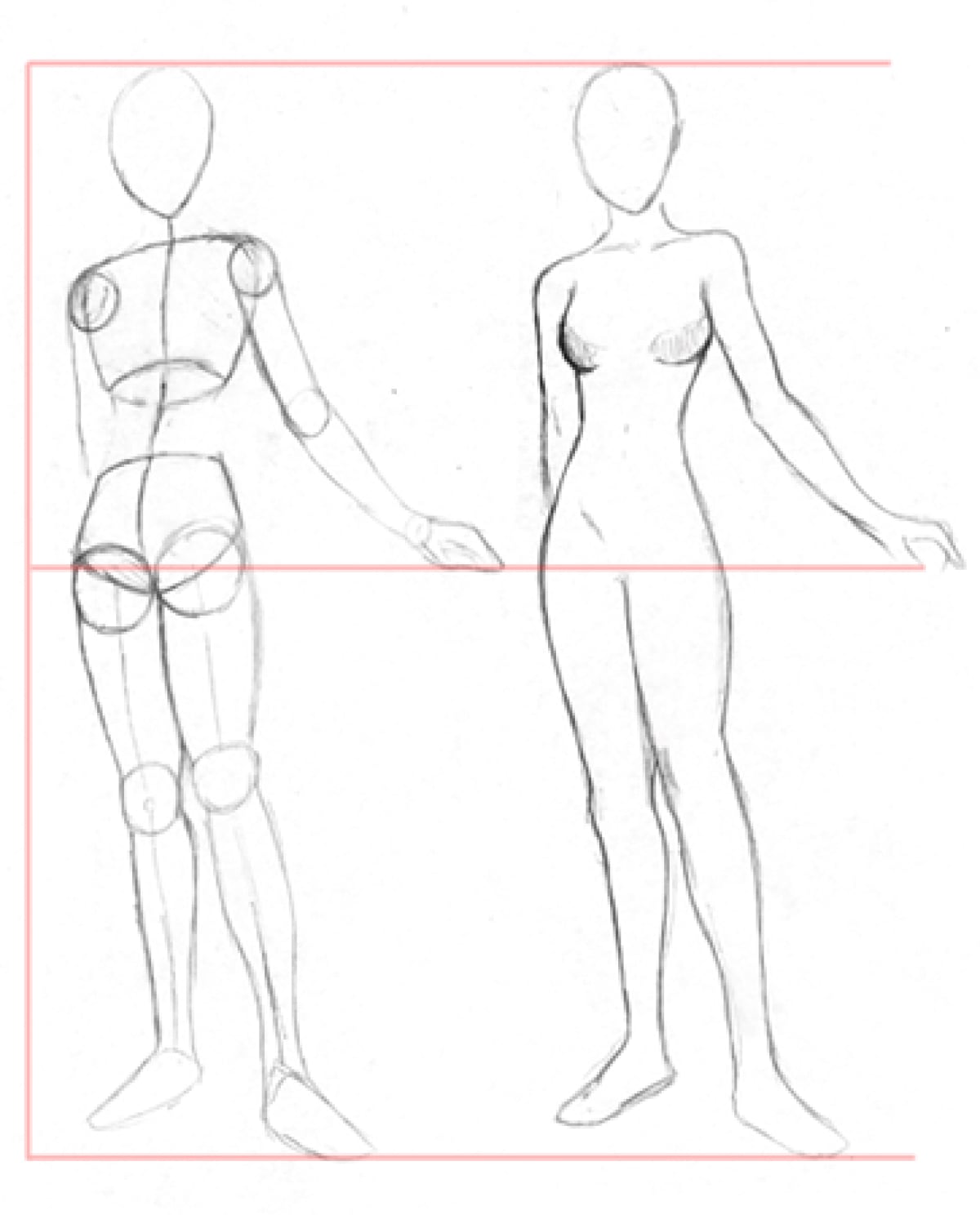 Схема тела девушки