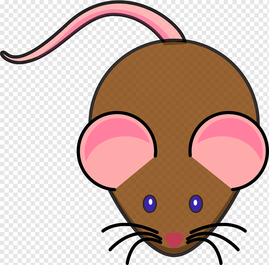 Мышка рисунок цветной