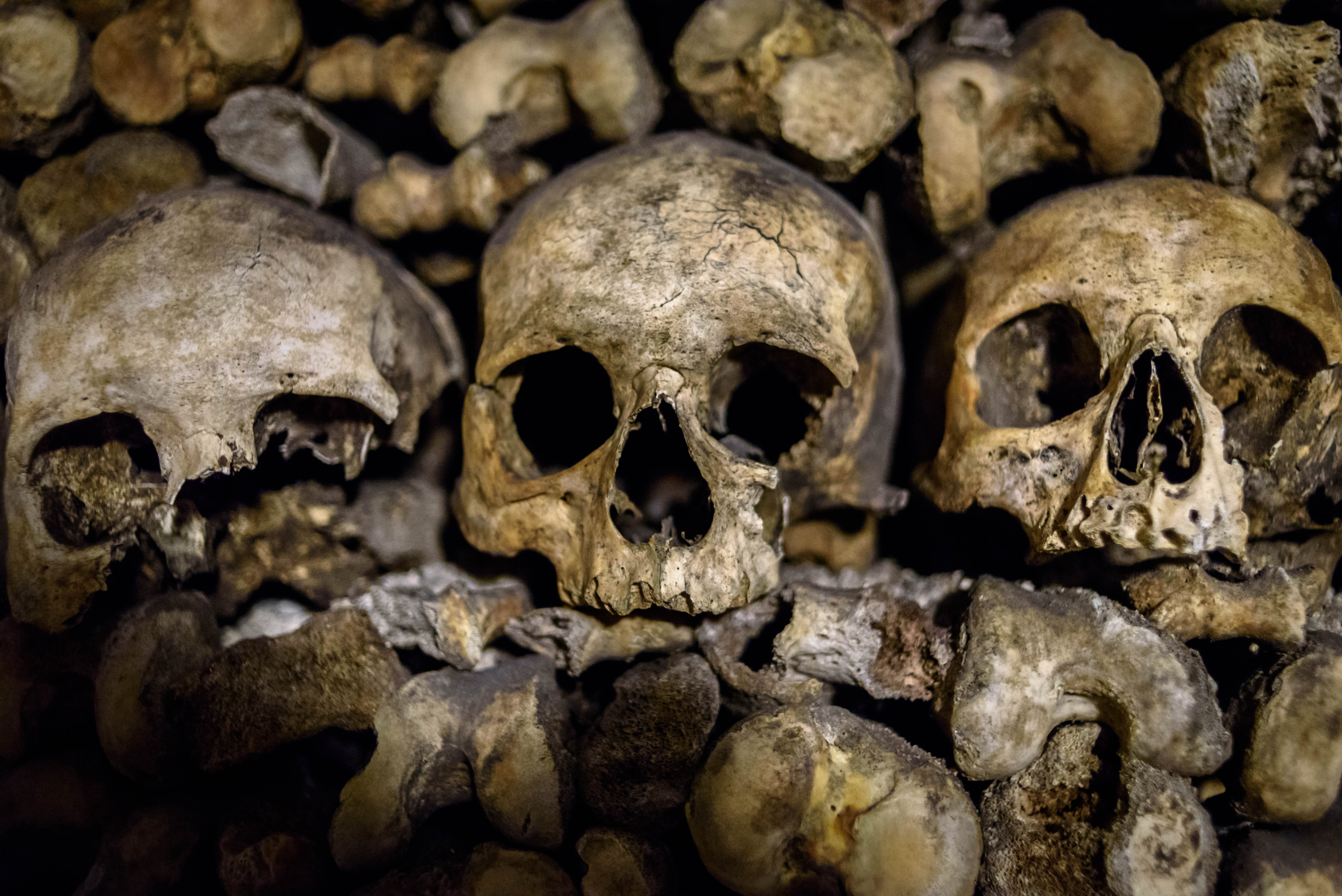 Пражские катакомбы кости скелеты черепа