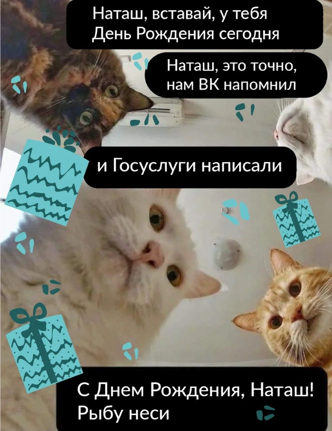 Мем с котами и Наташей с днем рождения