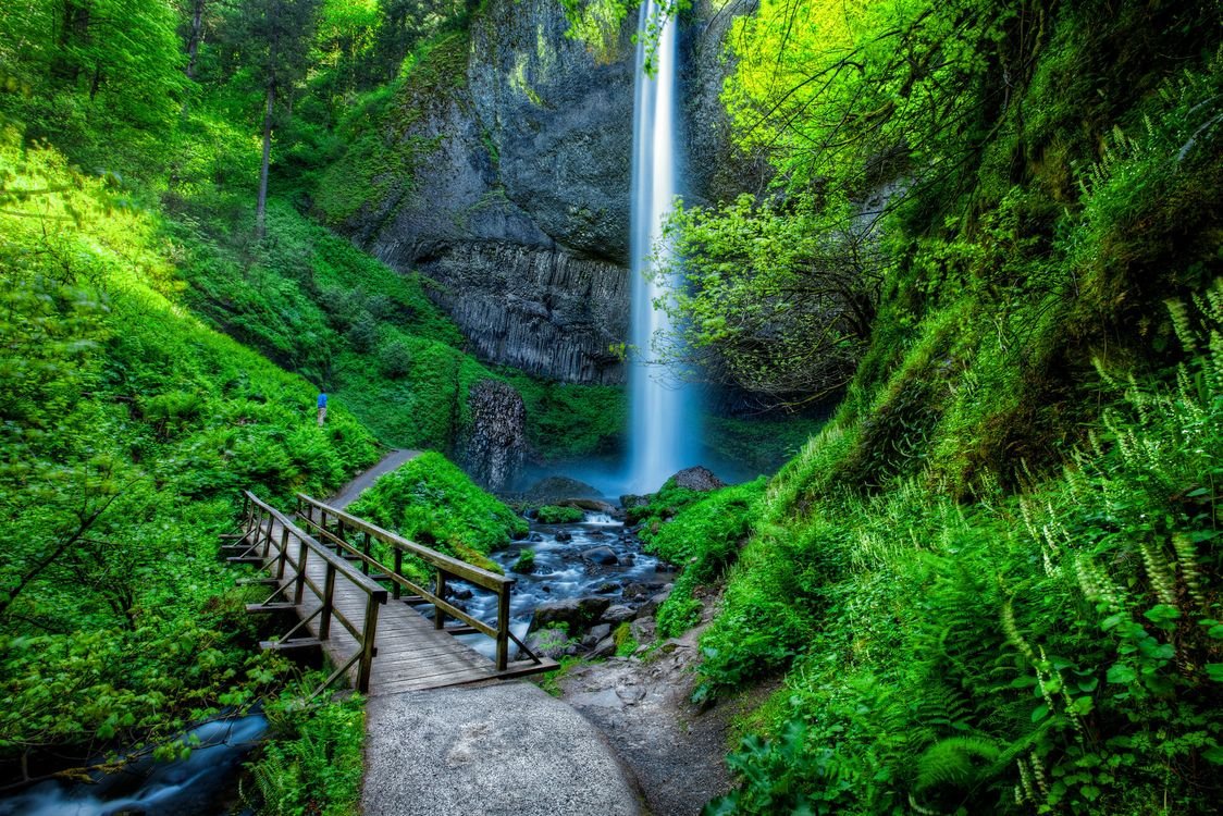 Красивый зеленый лес и водопад