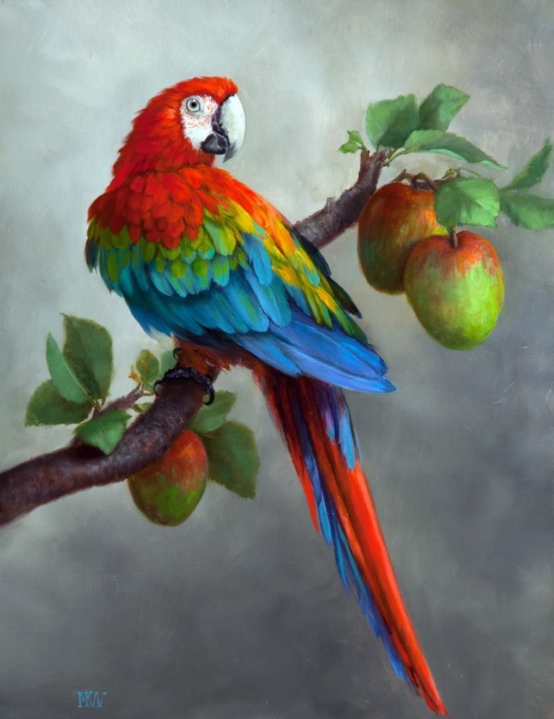 Маврикийский кольчатый попугай