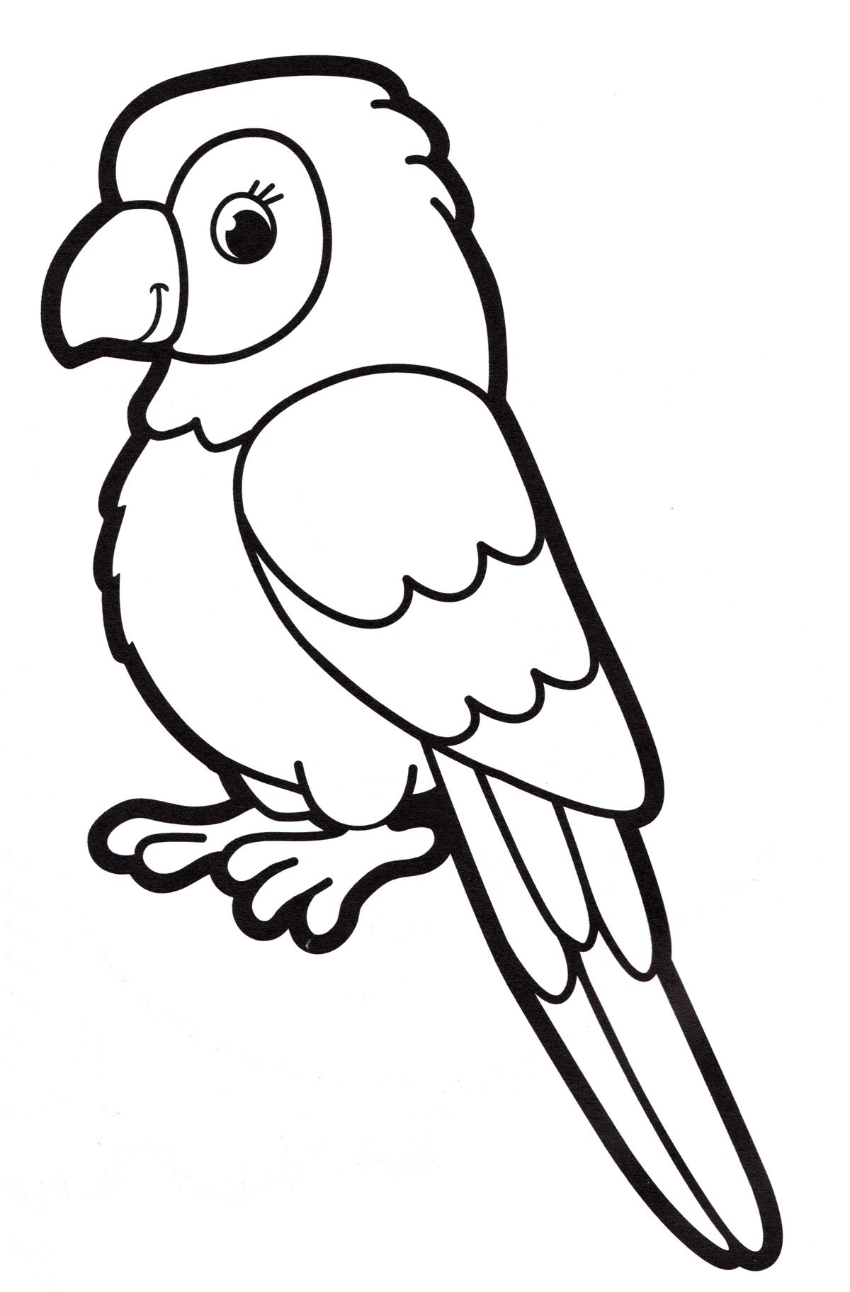 Раскраска детская попугай