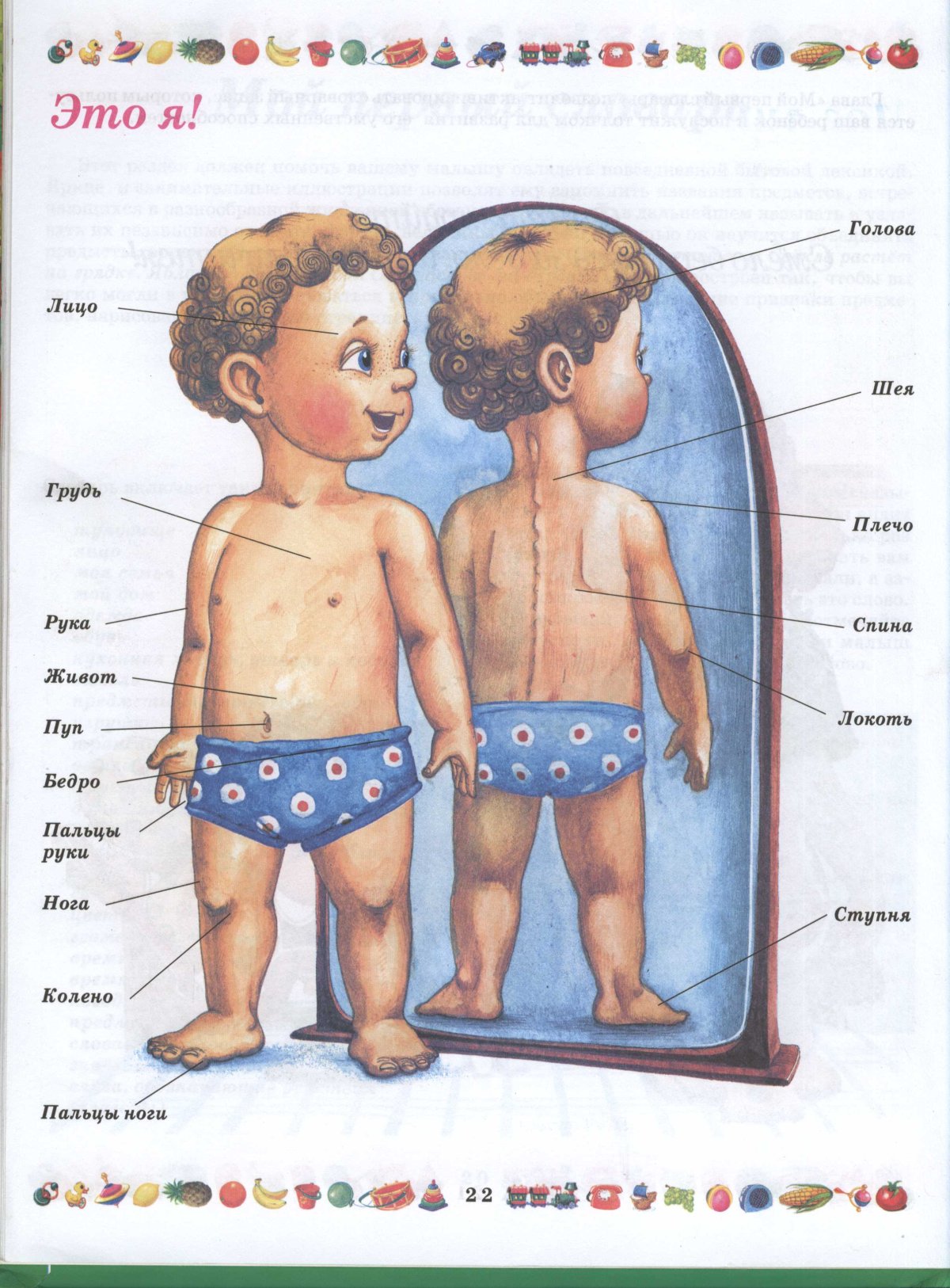 Части тела строение человека для дошкольников