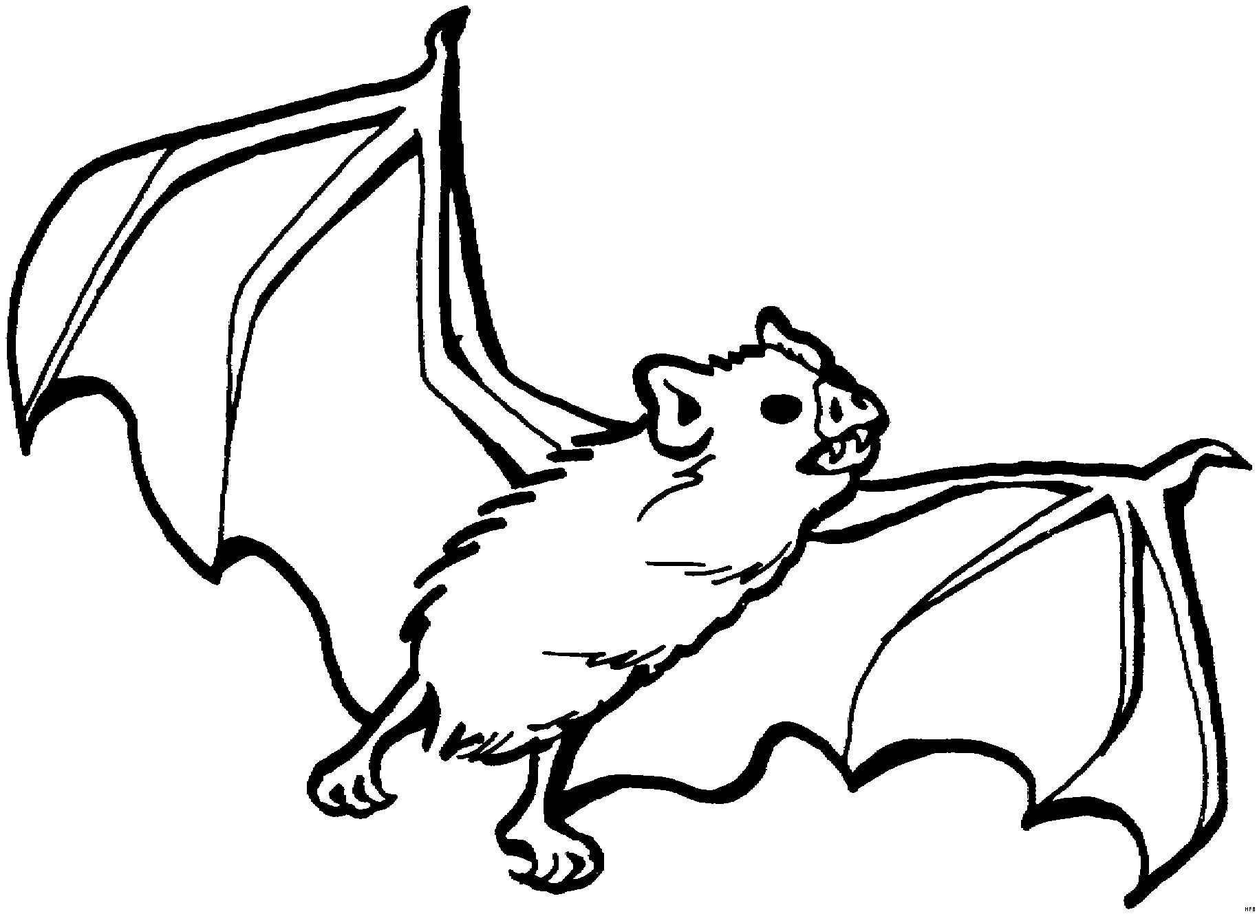 Рисунок летучей мыши для раскрашивания