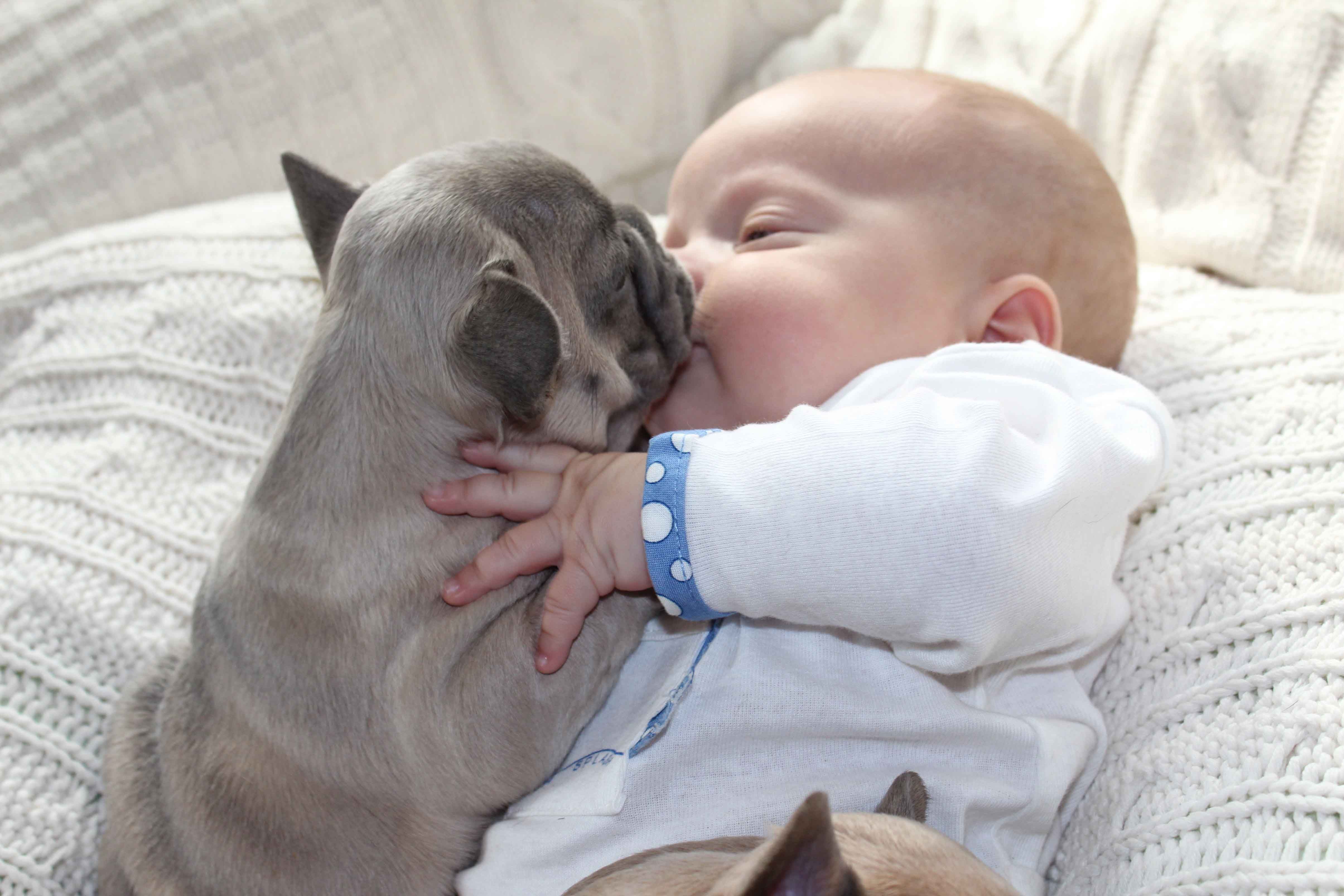 Новорожденные дети и собаки