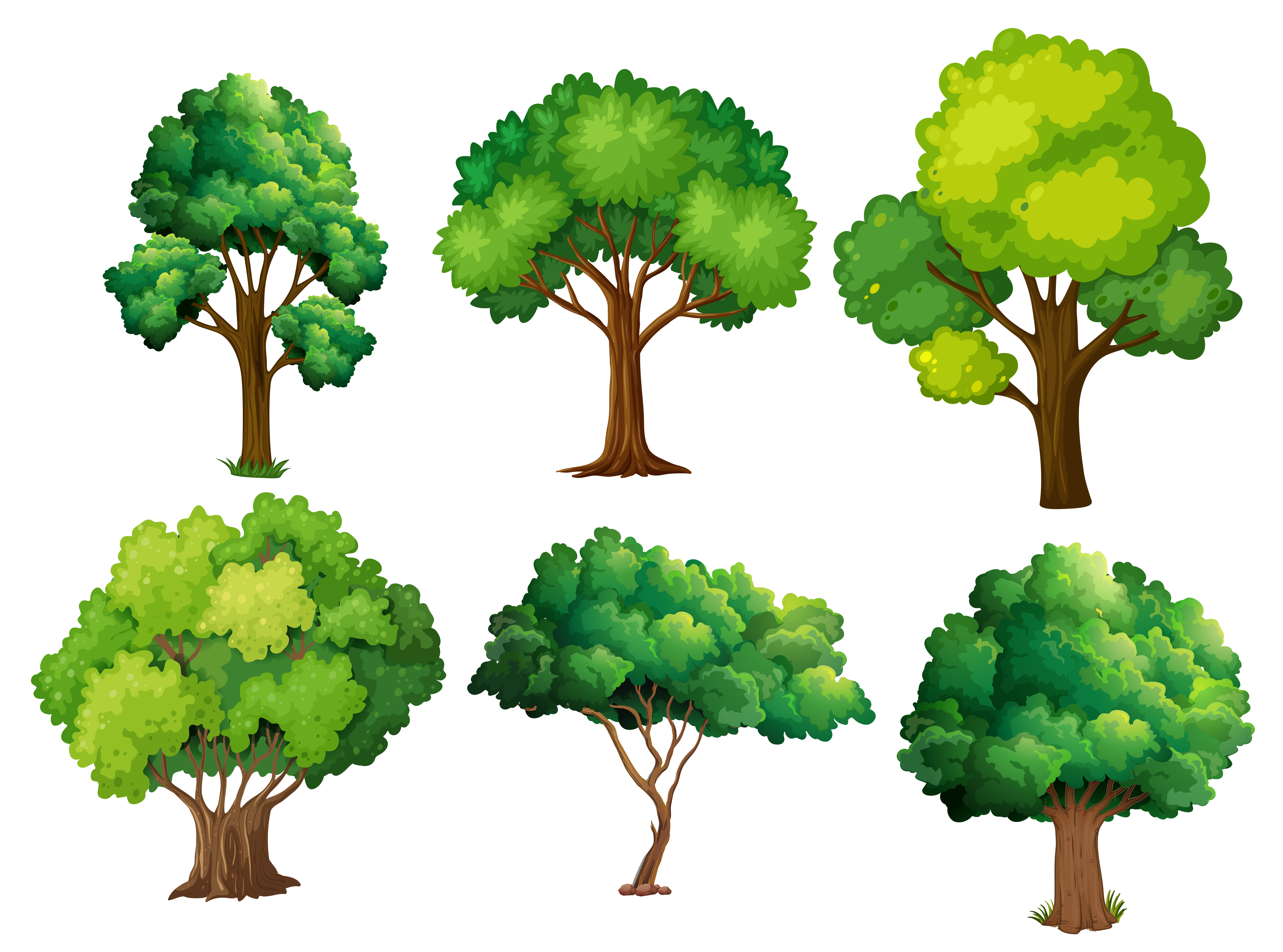 Векторный набор деревьев
