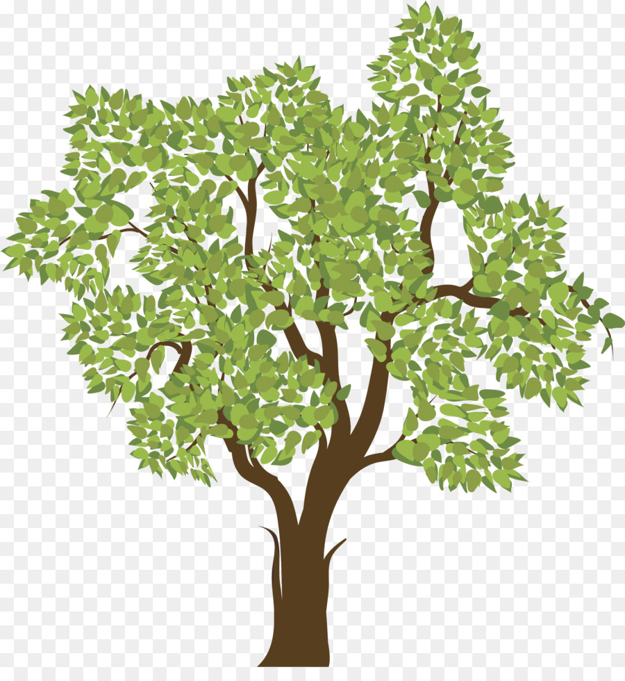 Дерево на прозрачном фоне для родословной