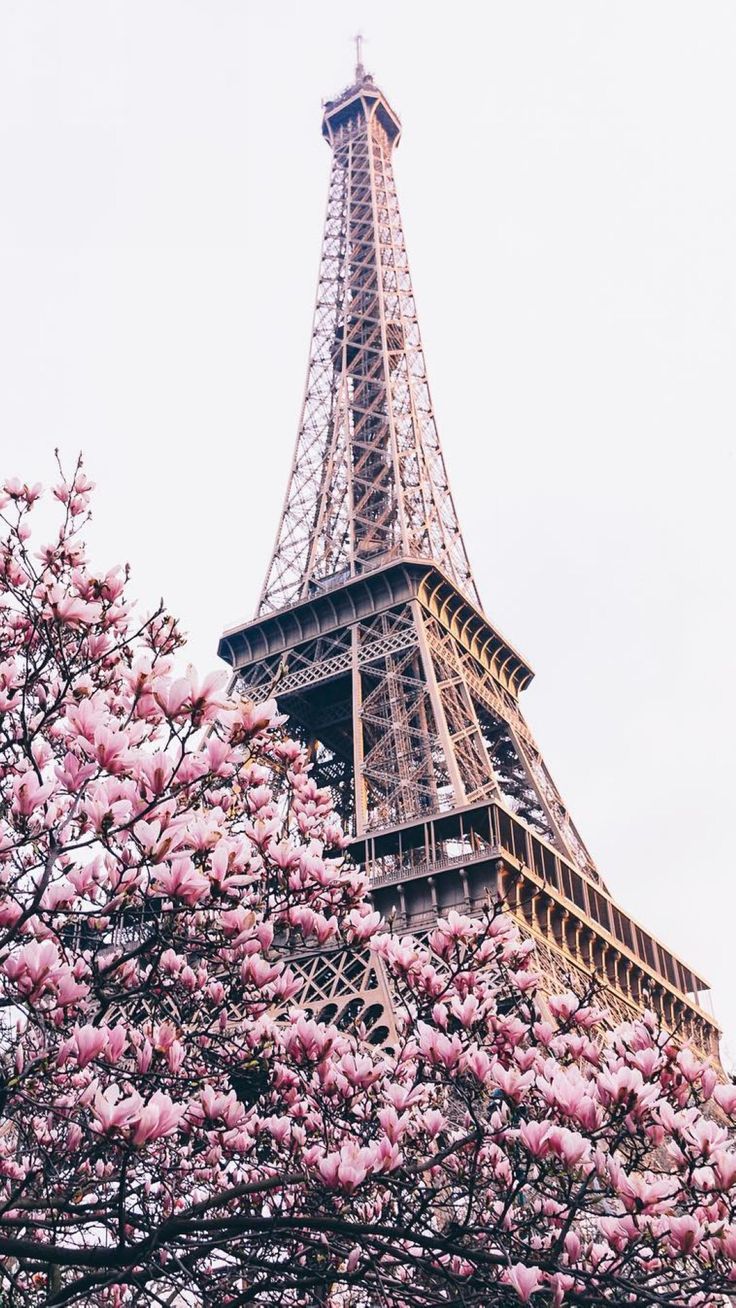 Башня Парижа Эстетика