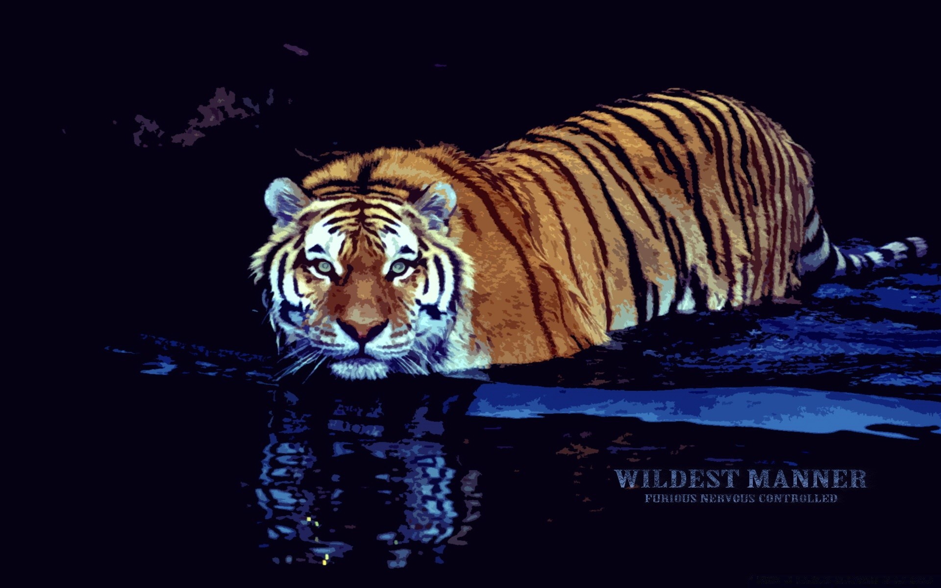 Тигр в воде обои на телефон
