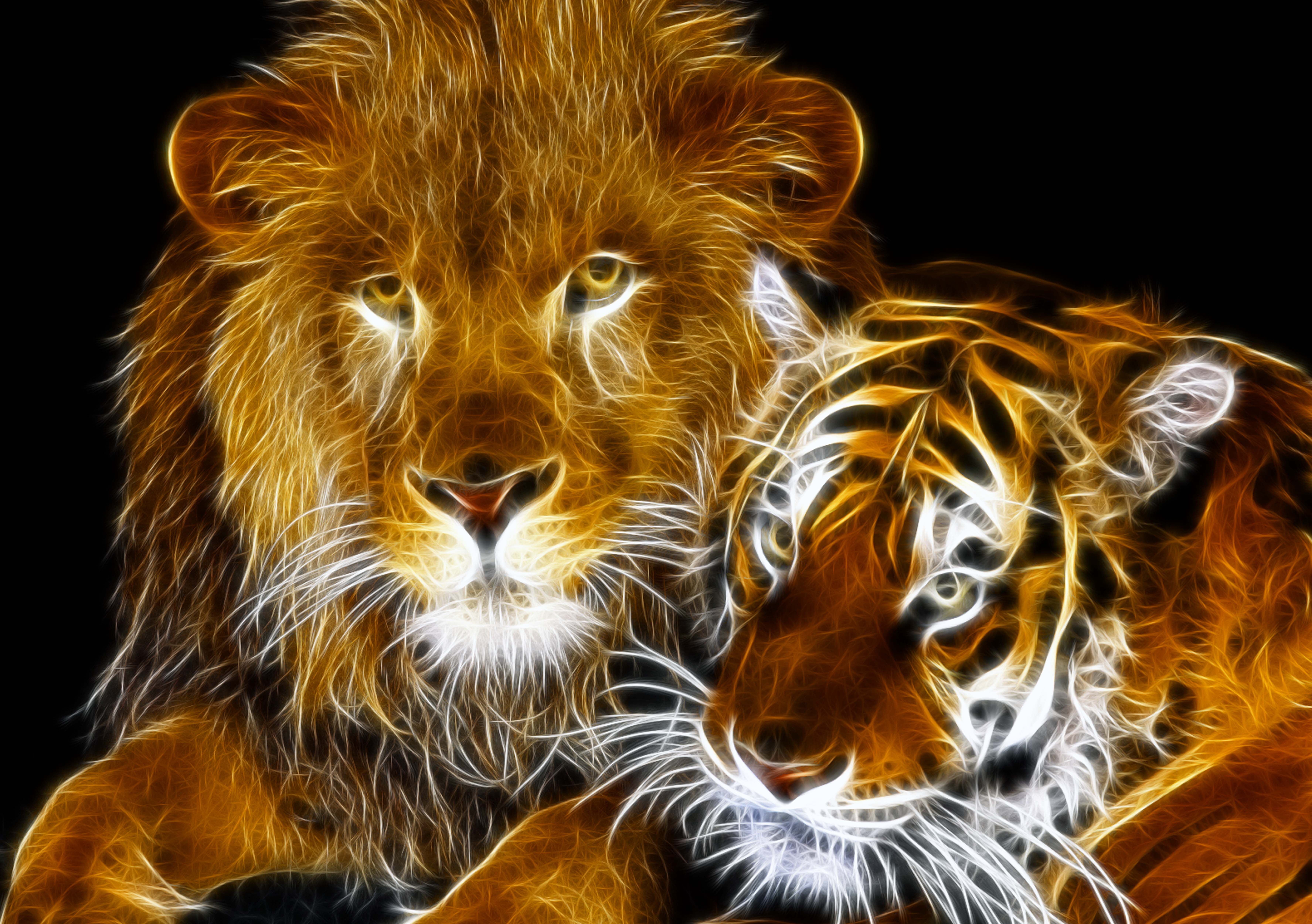 Тигр и Лев вместе