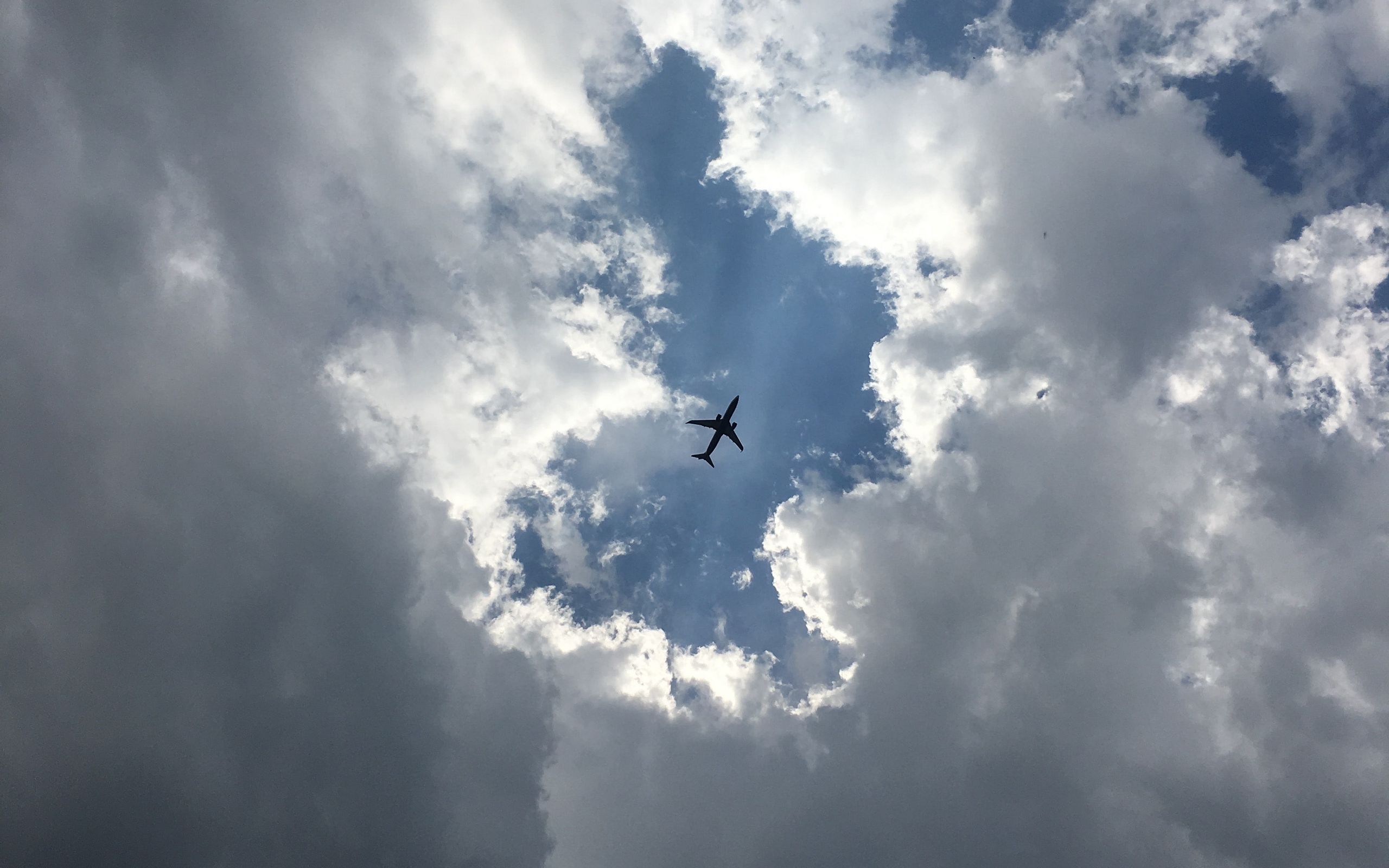 Самолет в небе вид снизу