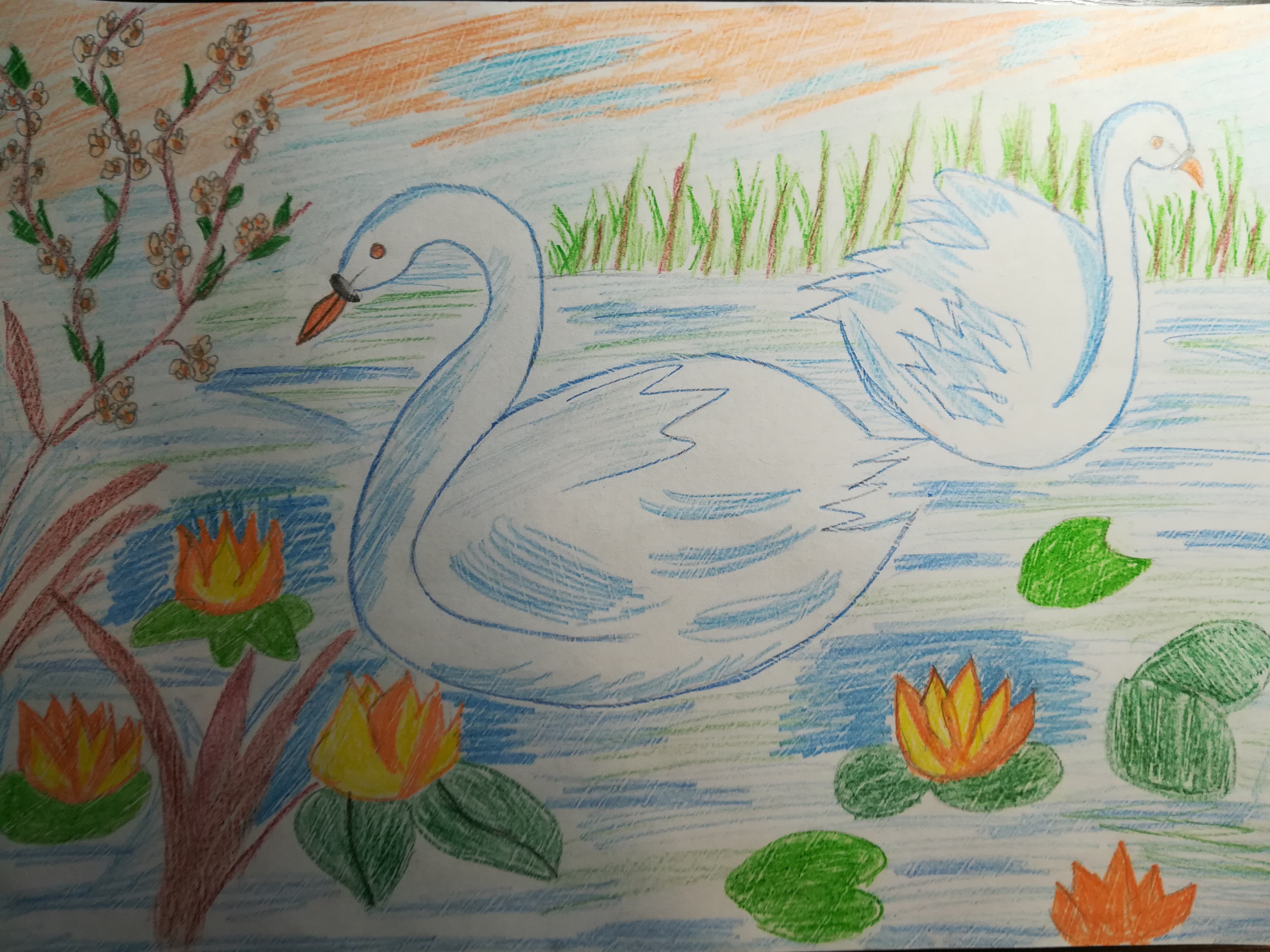Лебеди на озере рисунок для детей