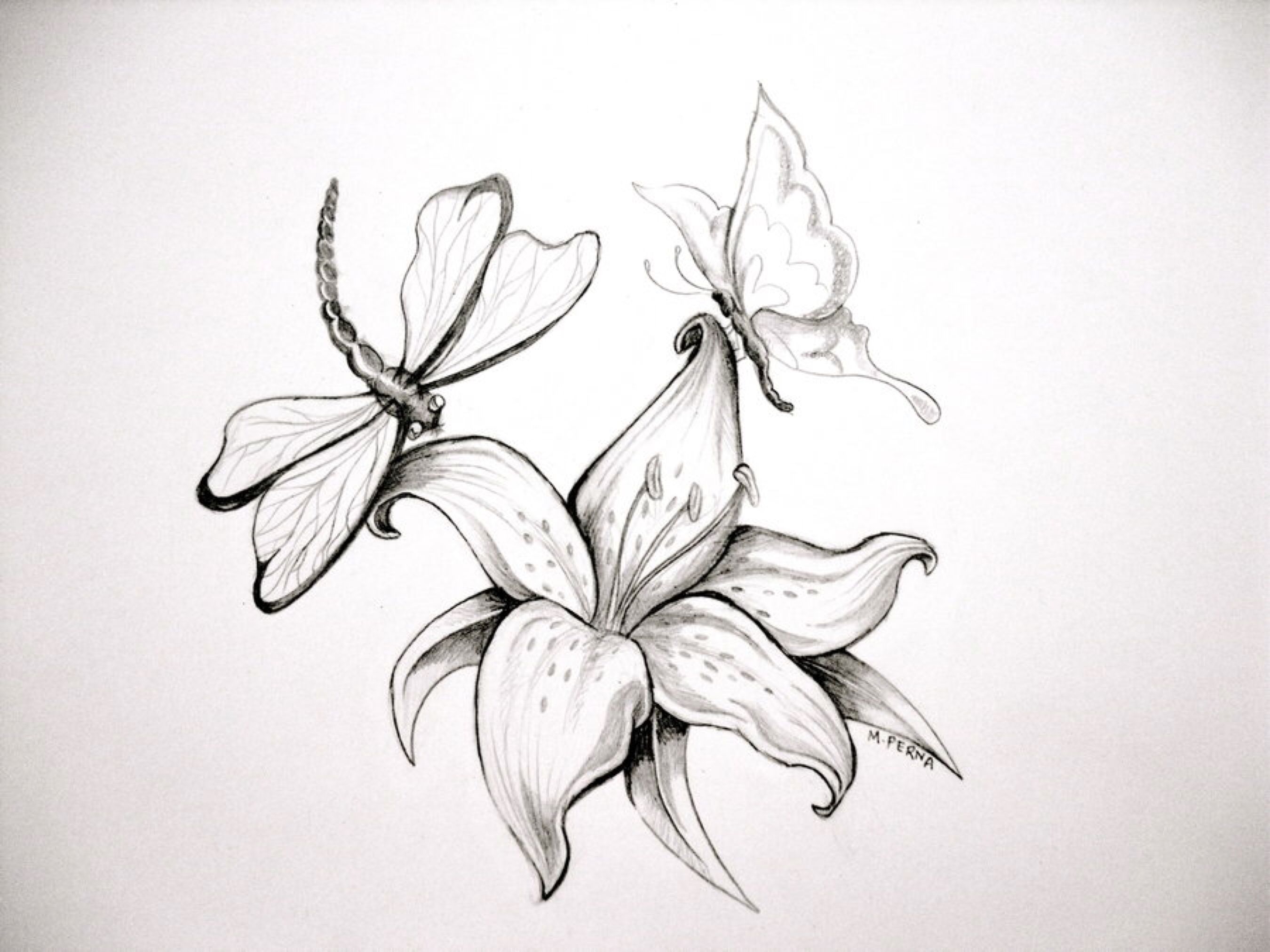 Картинки для срисовки карандашом цветы