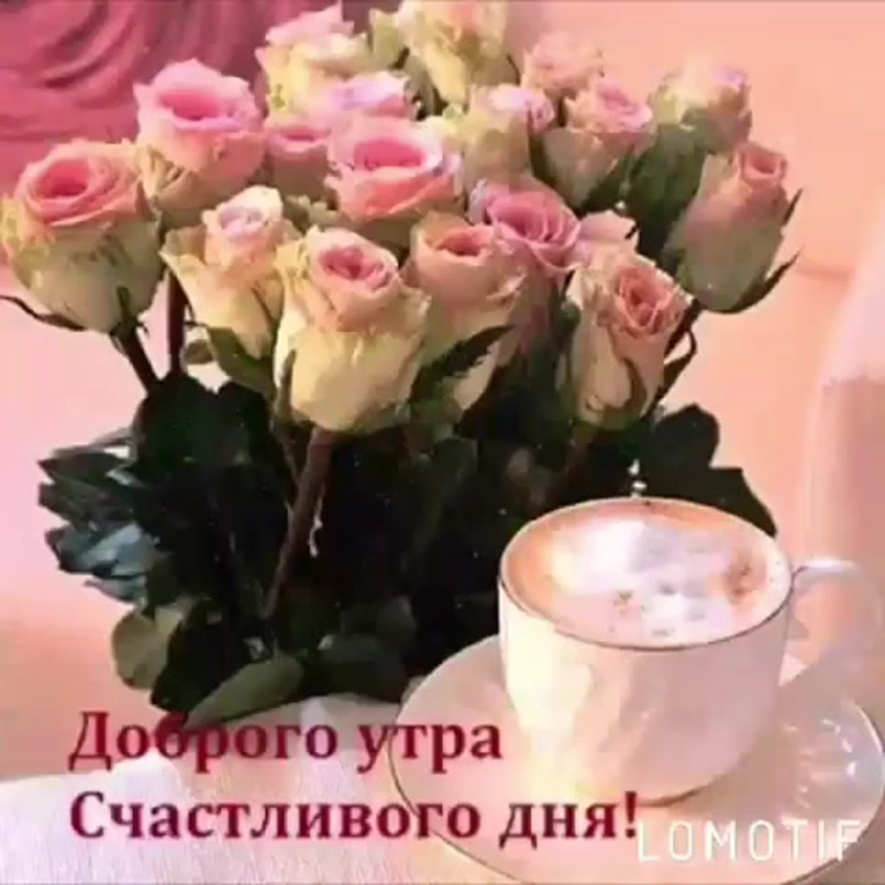 Розы с пожеланием доброго утра и дня