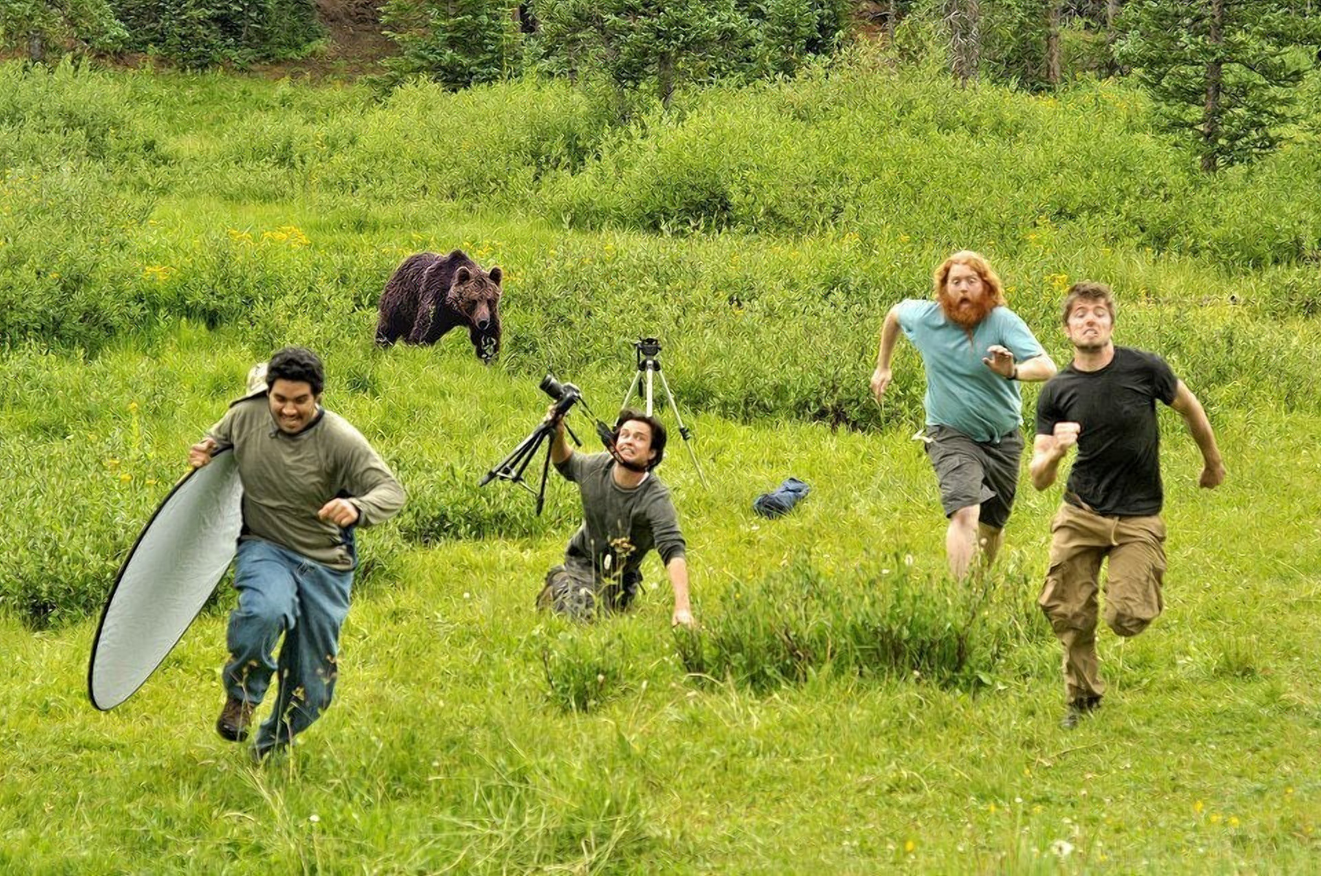 Медведь бежит за человеком