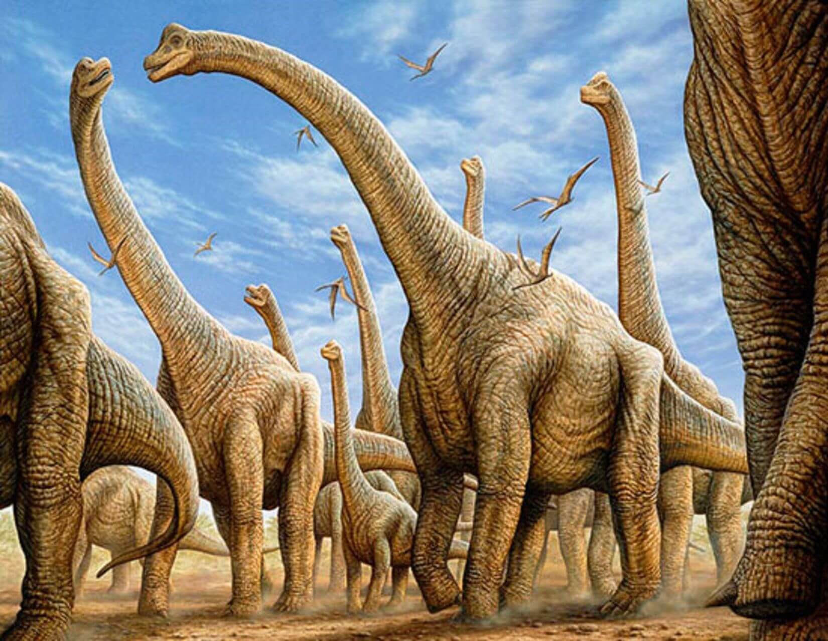 Травоядные динозавры зауроподы