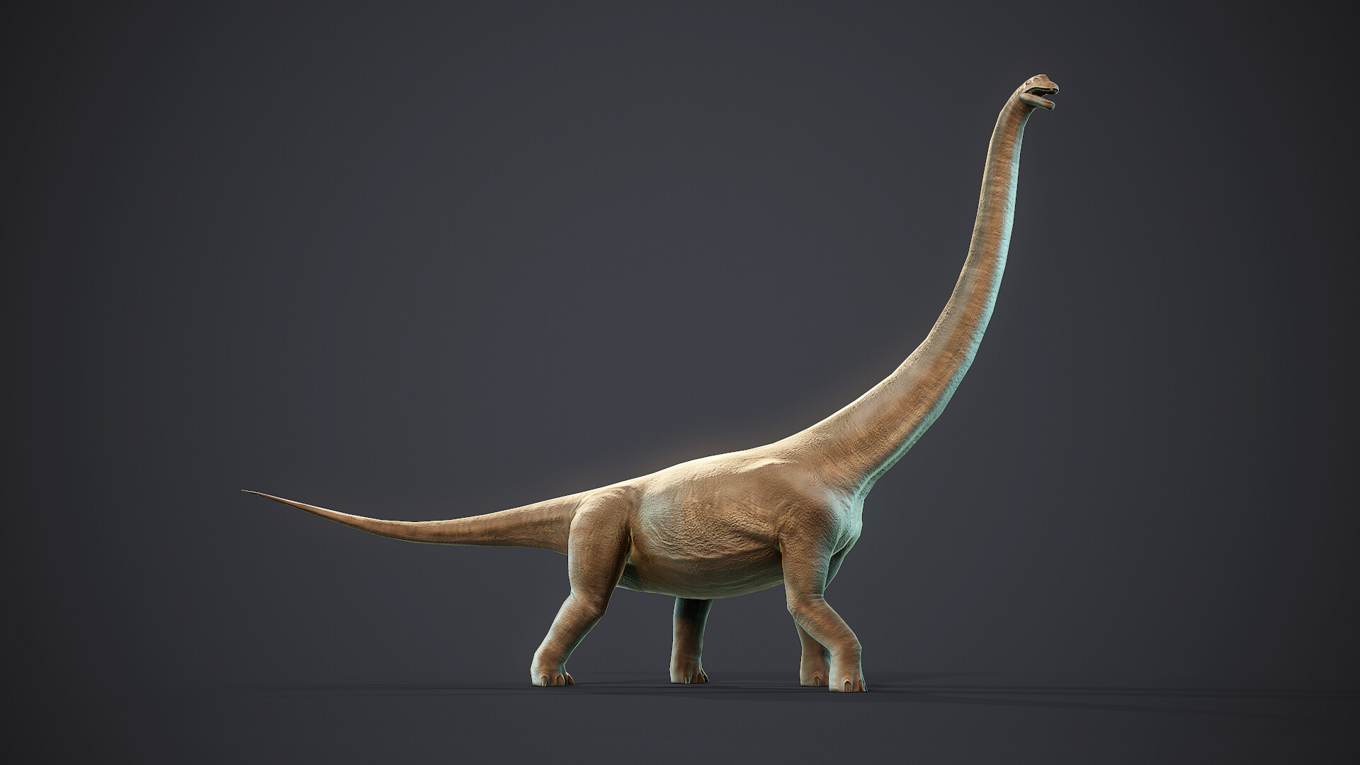 Брахиозавр анфас