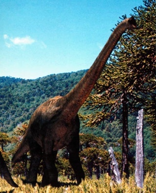 Брахилофозавр динозавр