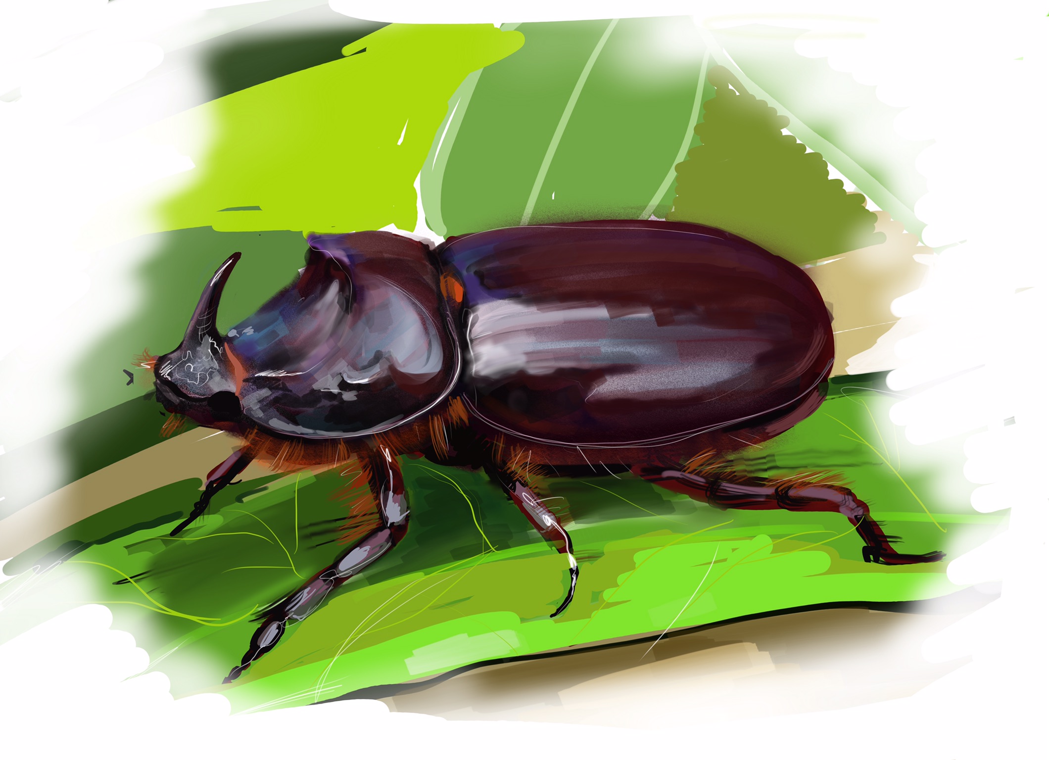 Изображение жука для детей