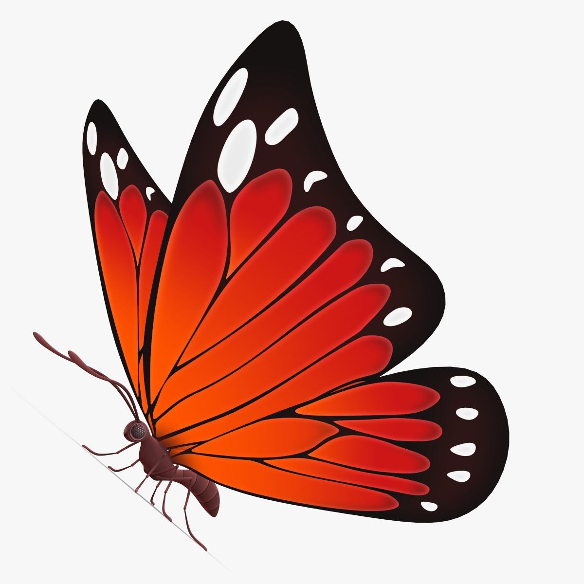 Красные бабочки на прозрачном фоне
