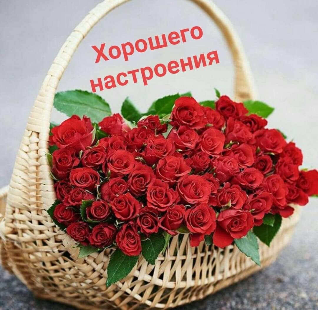 Открытка с днём рождения розы красные корзинка