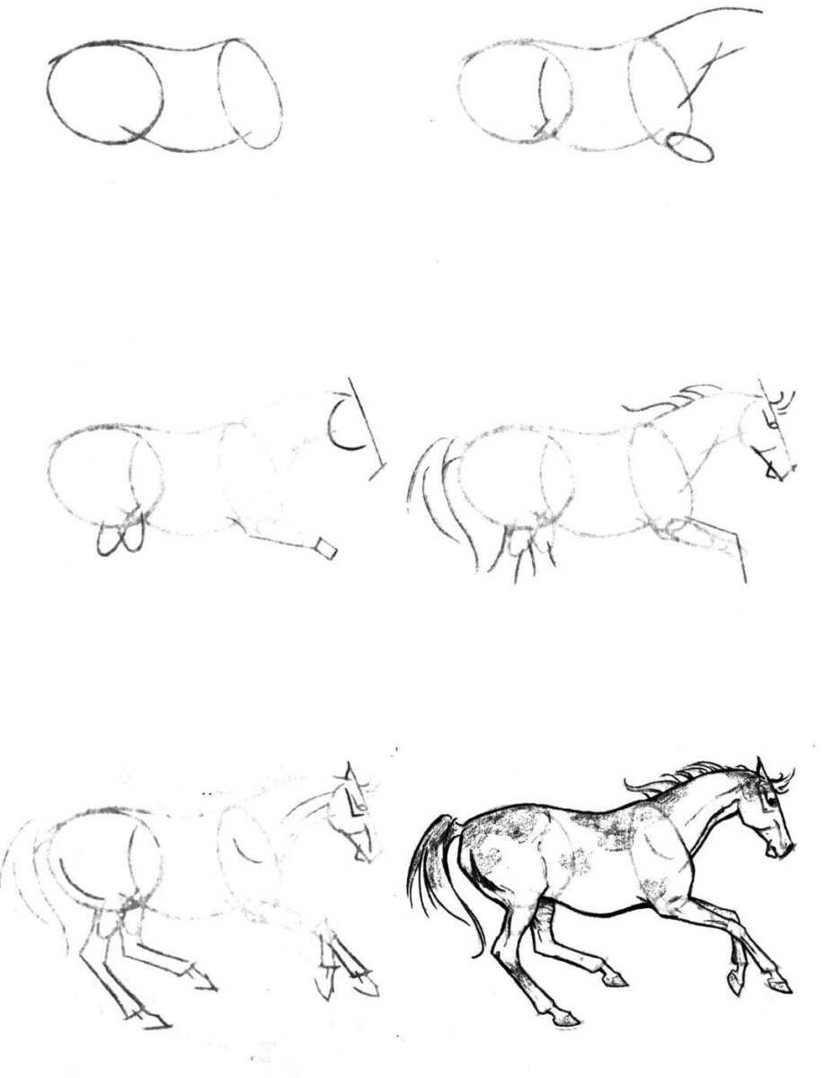 Нарисовать лошадь карандашом поэтапно
