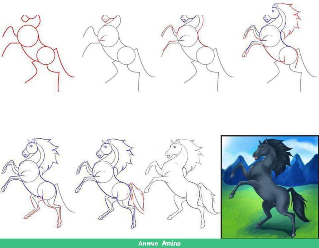 Как нарисовать лошадку карандашом поэтапно