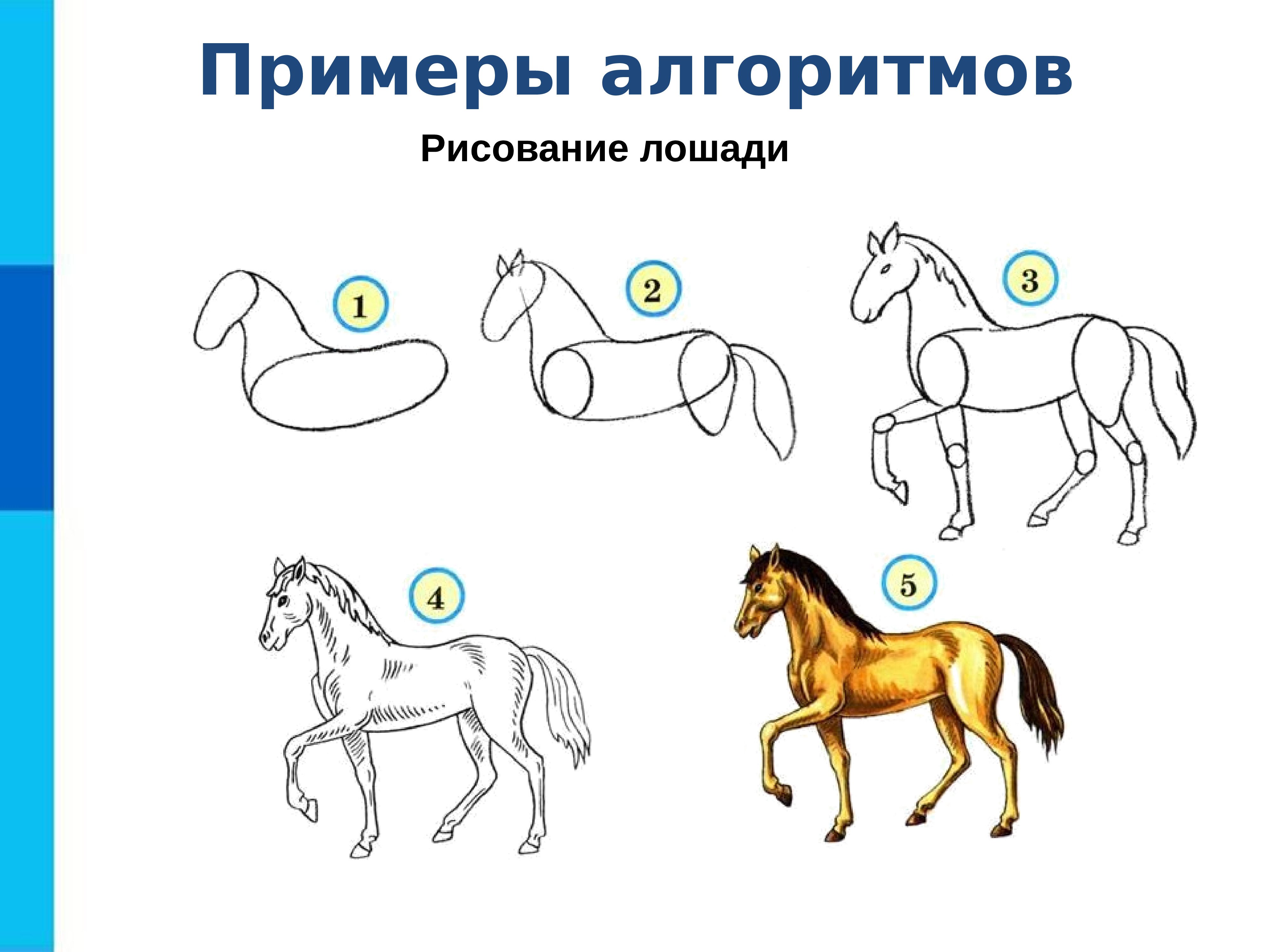 Алгоритм рисования лошади