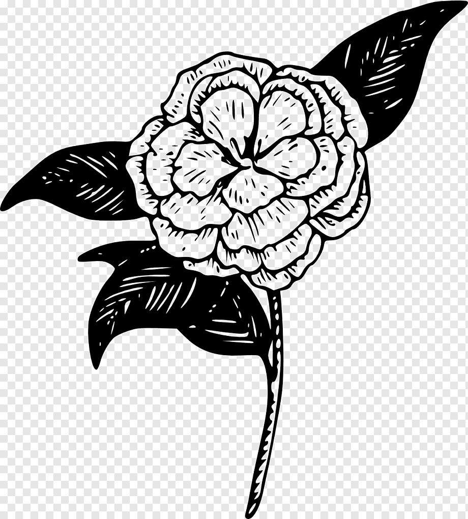 Стилизованные цветы черно белые