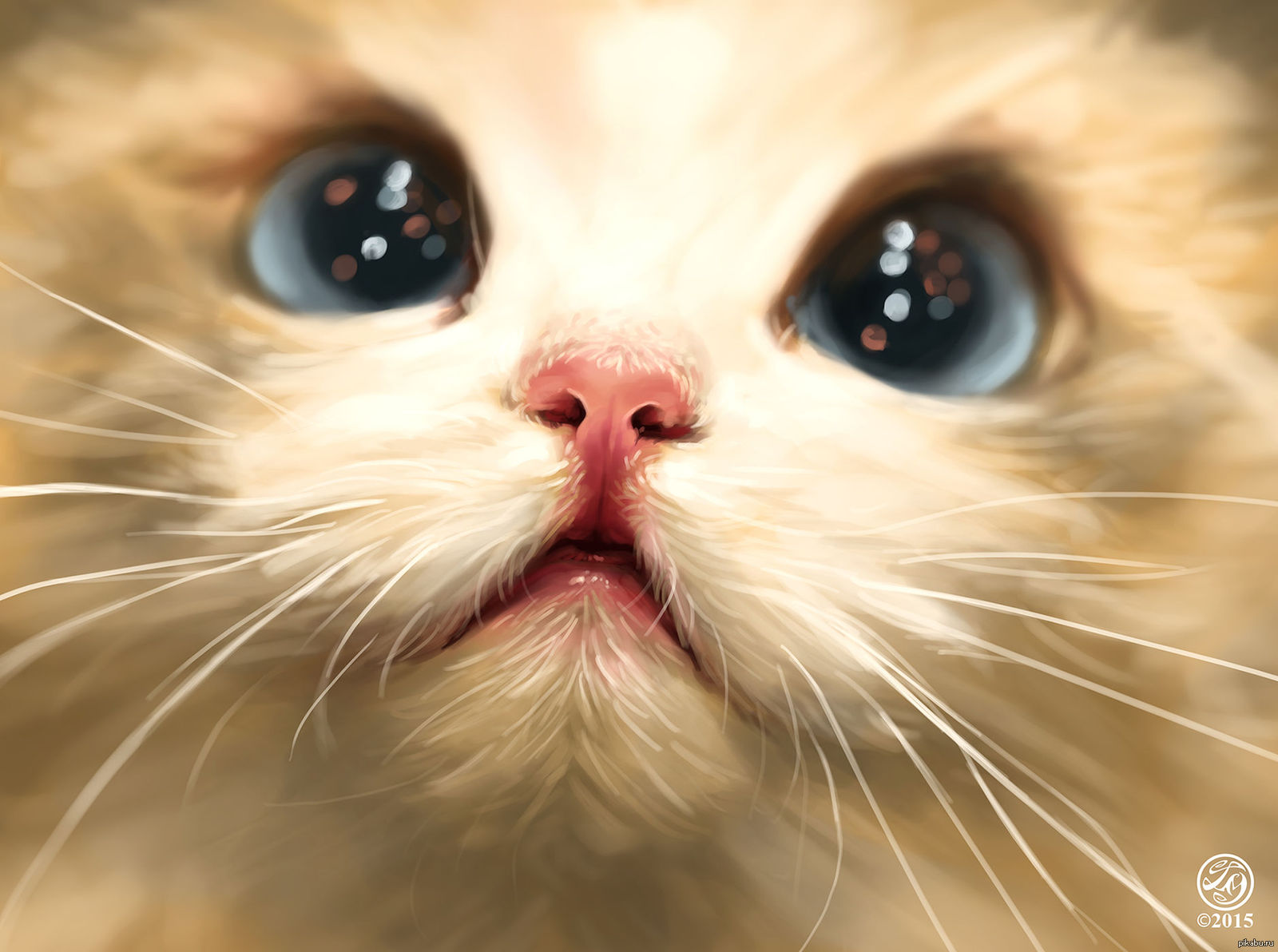 Кошка с милыми глазками