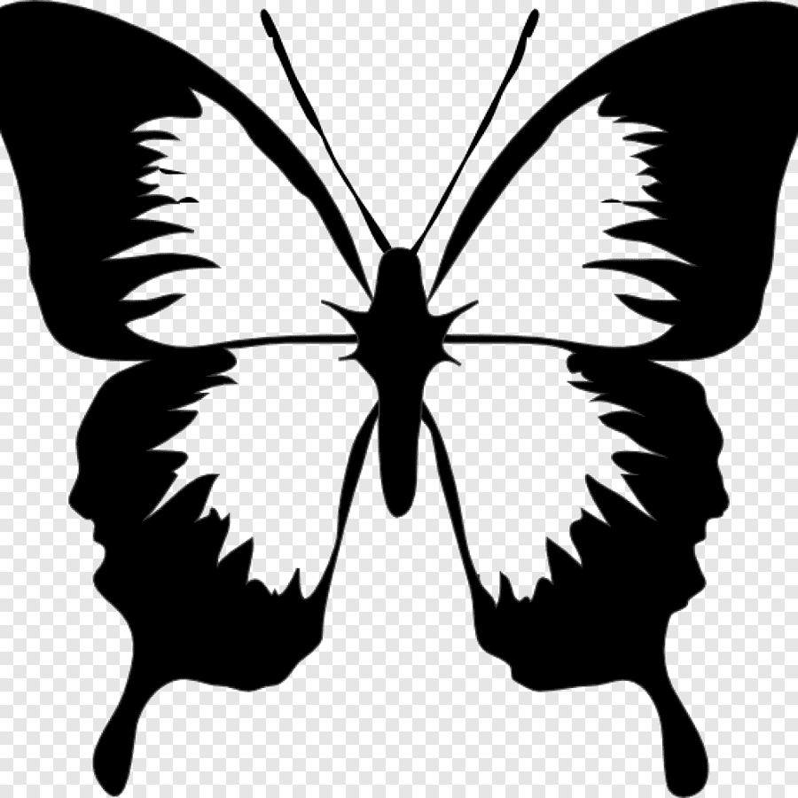 трафареты бабочек - 5376522