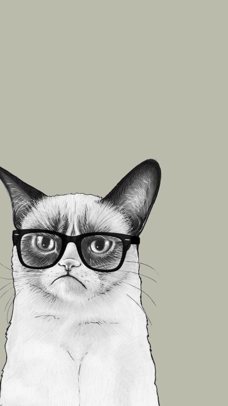 Кот в очках