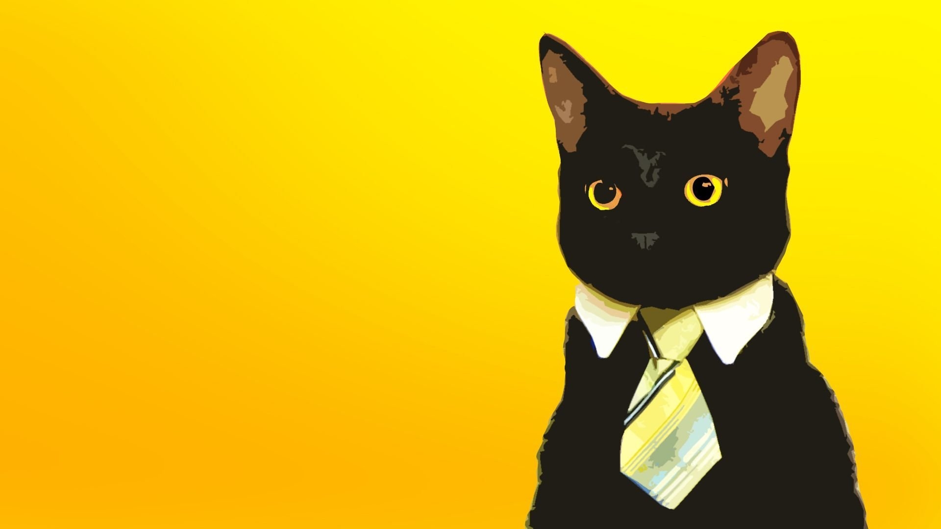 Черный кот в галстуке