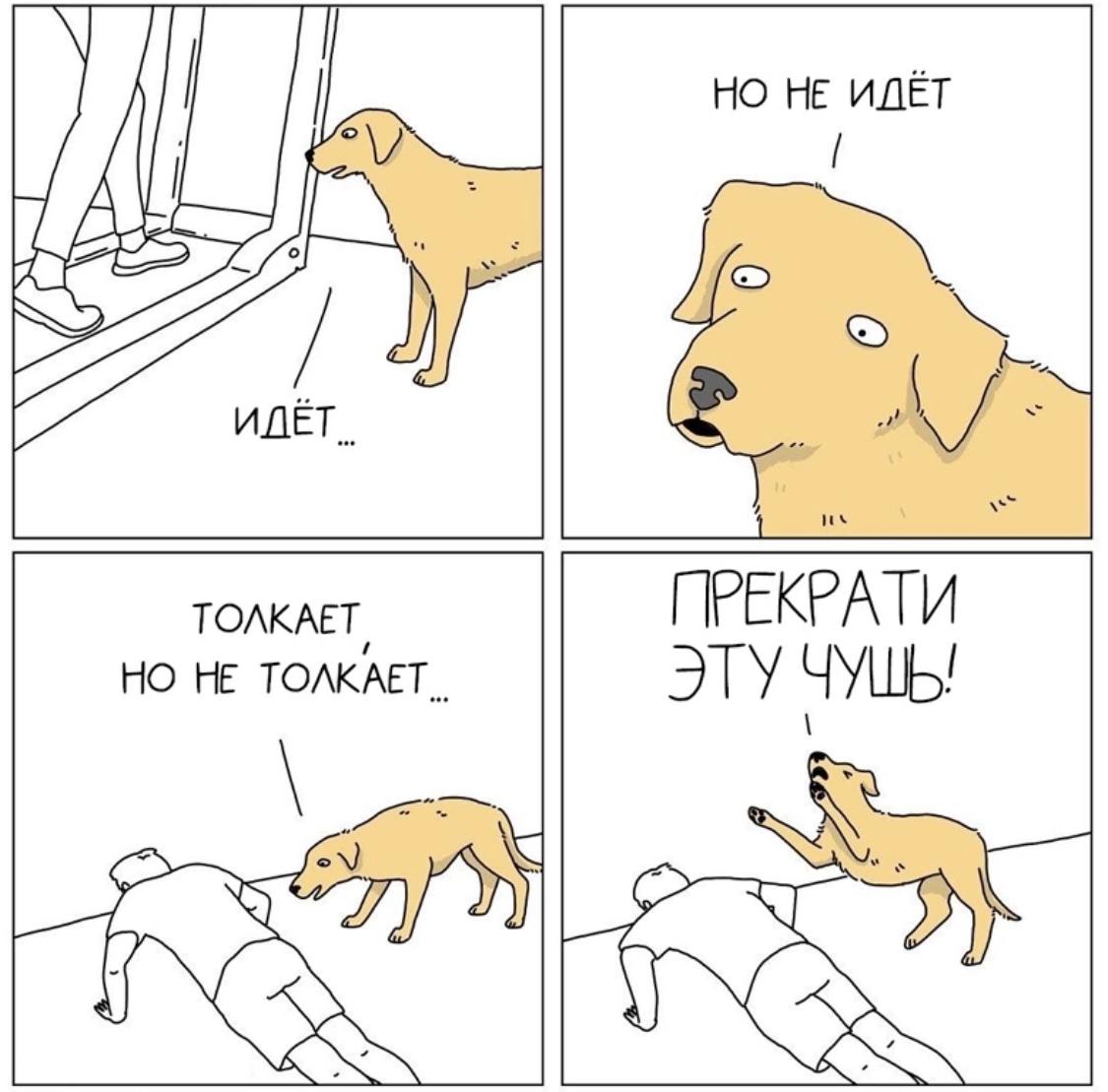 Смешные собаки мемы