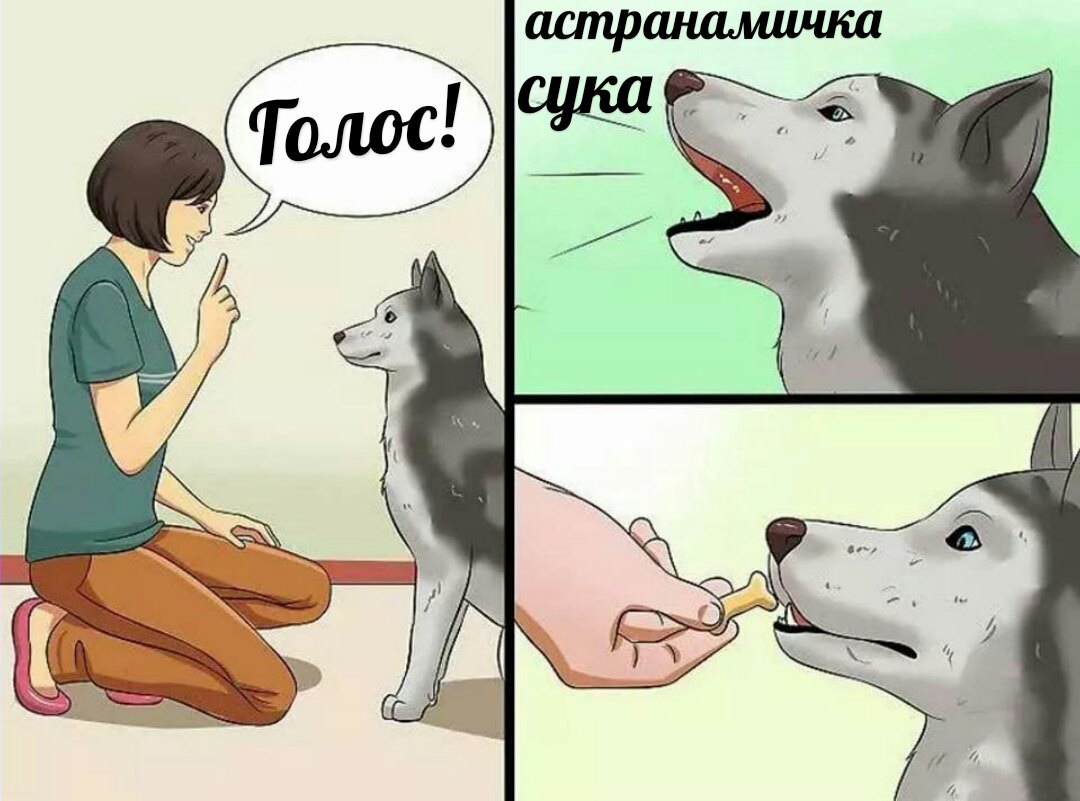 Мем собаки не разговаривают