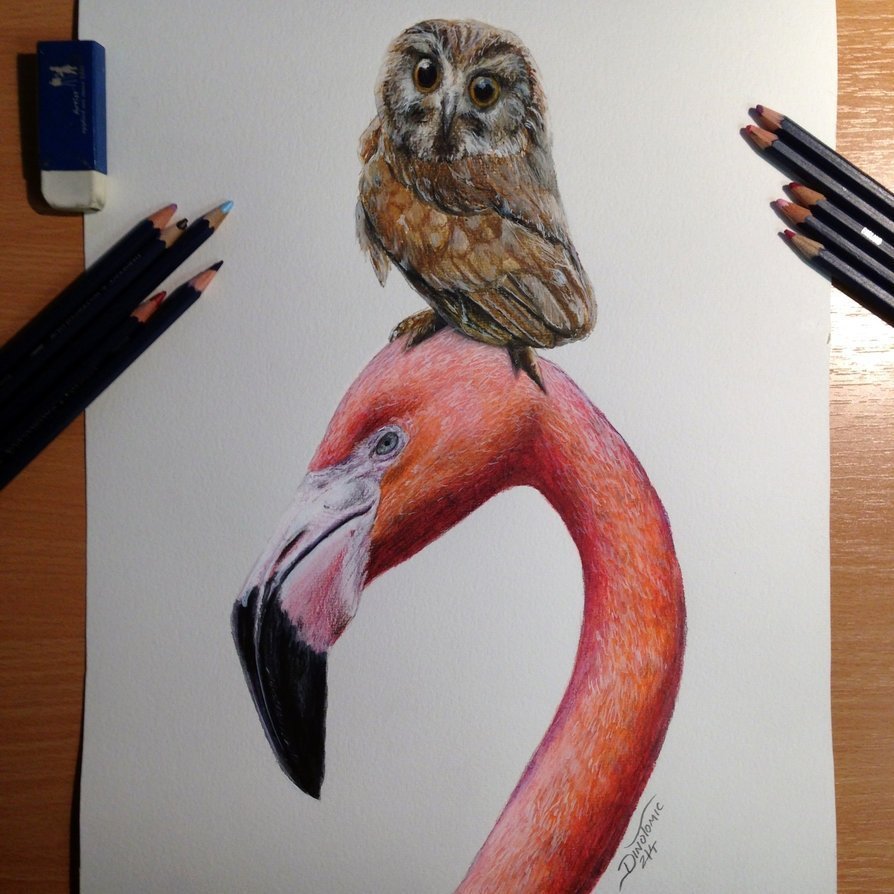 Рисунки животных цветными карандашами